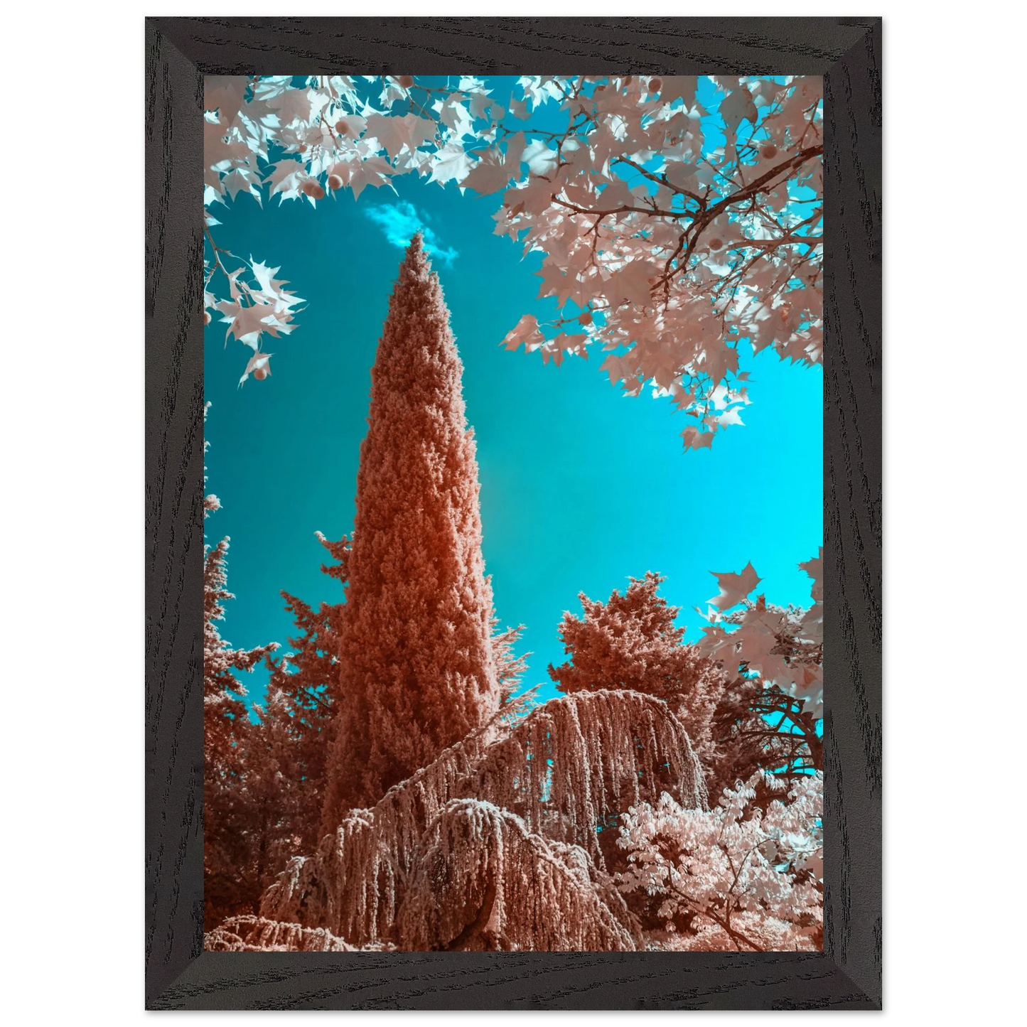 c8910962-b1ff-43ed-9d9c-38523cdc5c2b