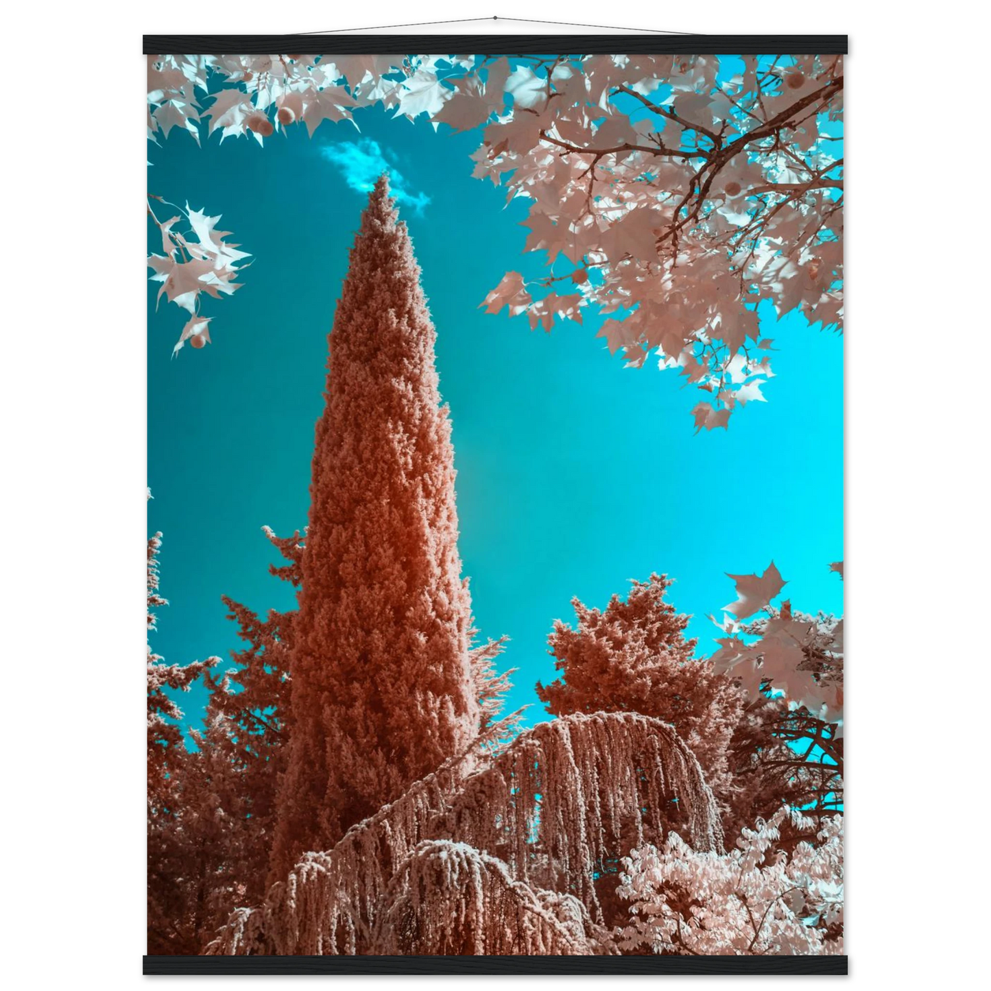 c8dc81ef-9ac9-4d44-af1d-178d99d4a9b3