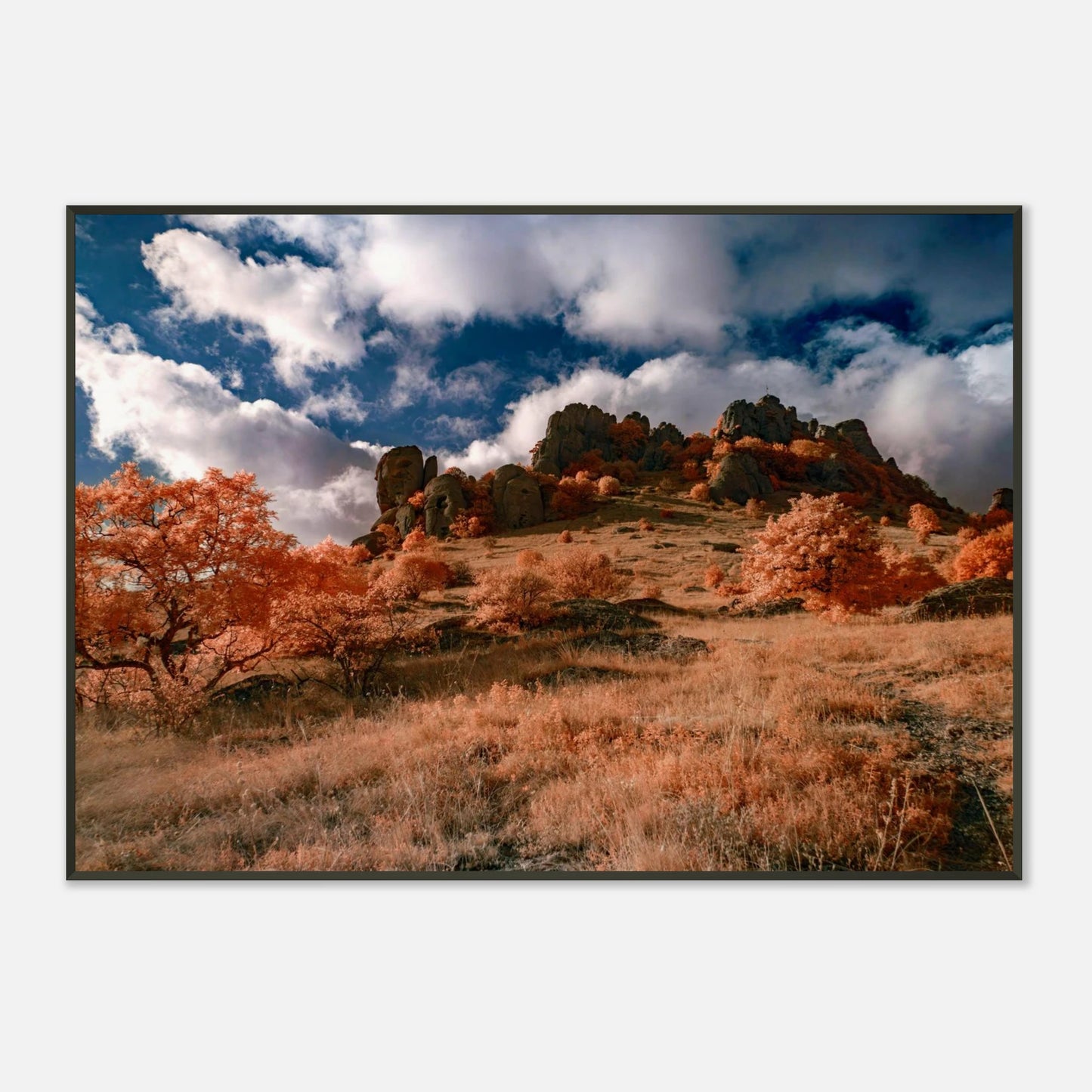 ca10bbd9-f226-44bb-b95b-de814fcce0f5