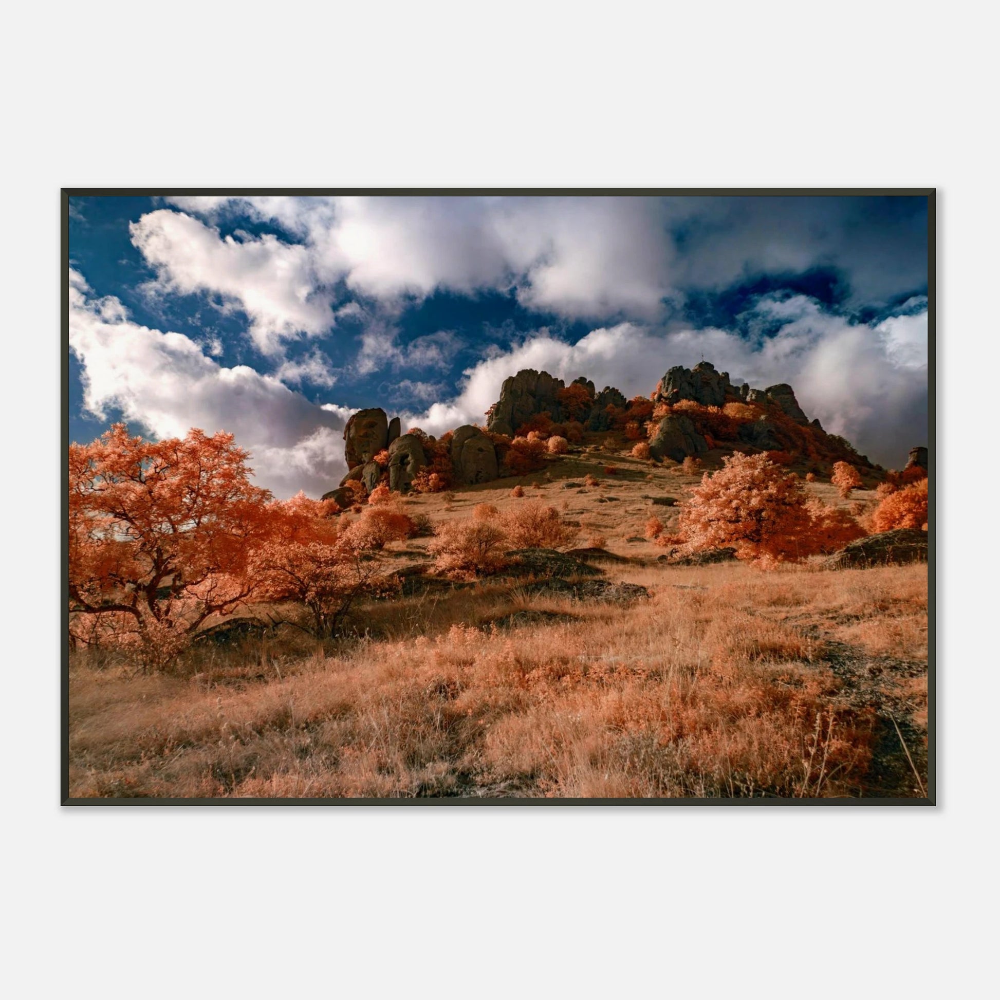 ca10bbd9-f226-44bb-b95b-de814fcce0f5