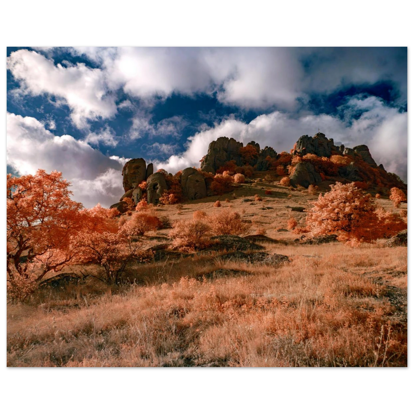 ca1d54d0-3891-4fad-b231-2536bad8c0bb