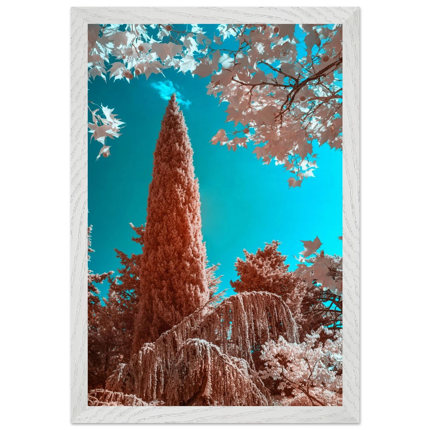 ca3f3615-8ec5-4817-aa40-ba867dd793e8