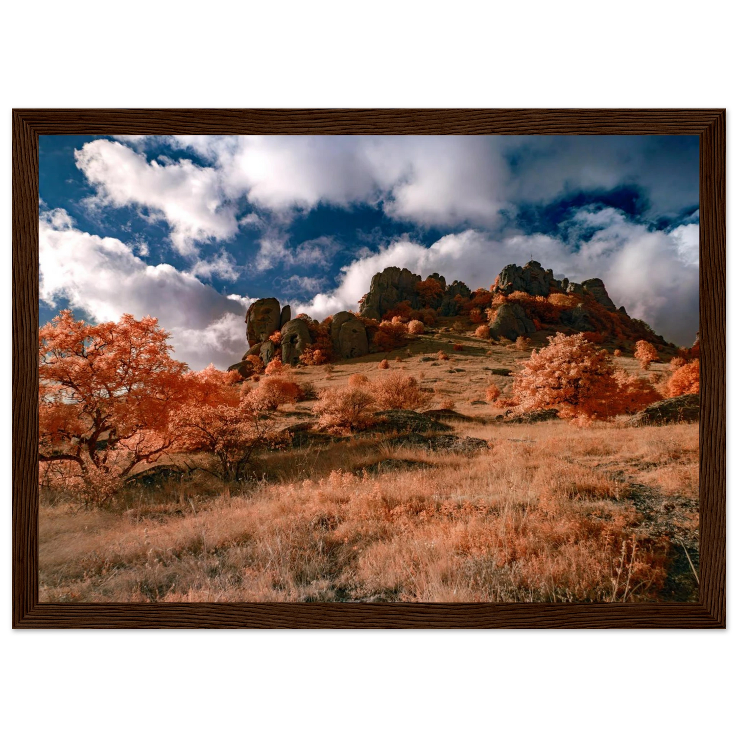 ca5f7e96-cb9e-4ef6-9612-12d46ced9946