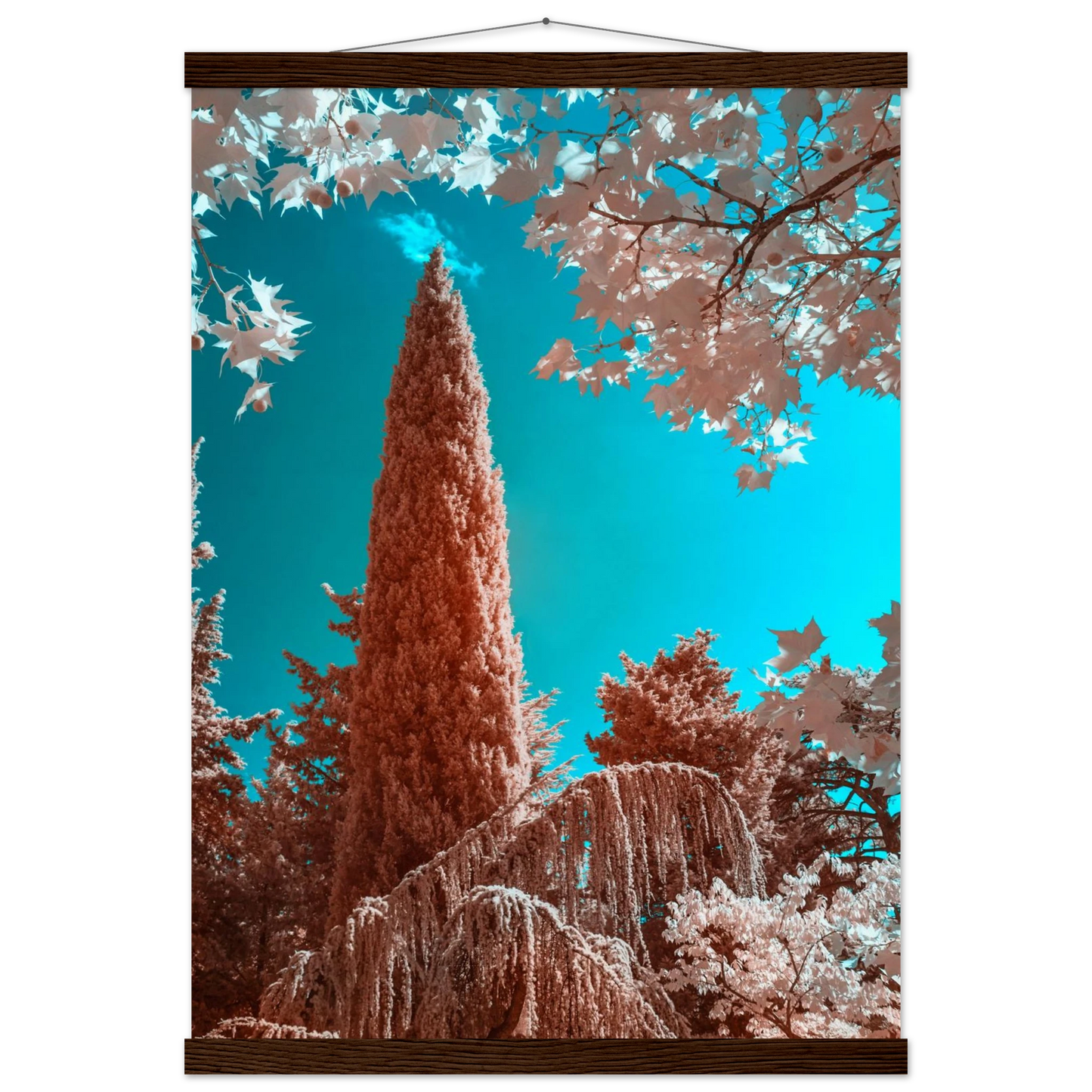 cadff37c-676a-4684-bd7a-bd70115c7a53