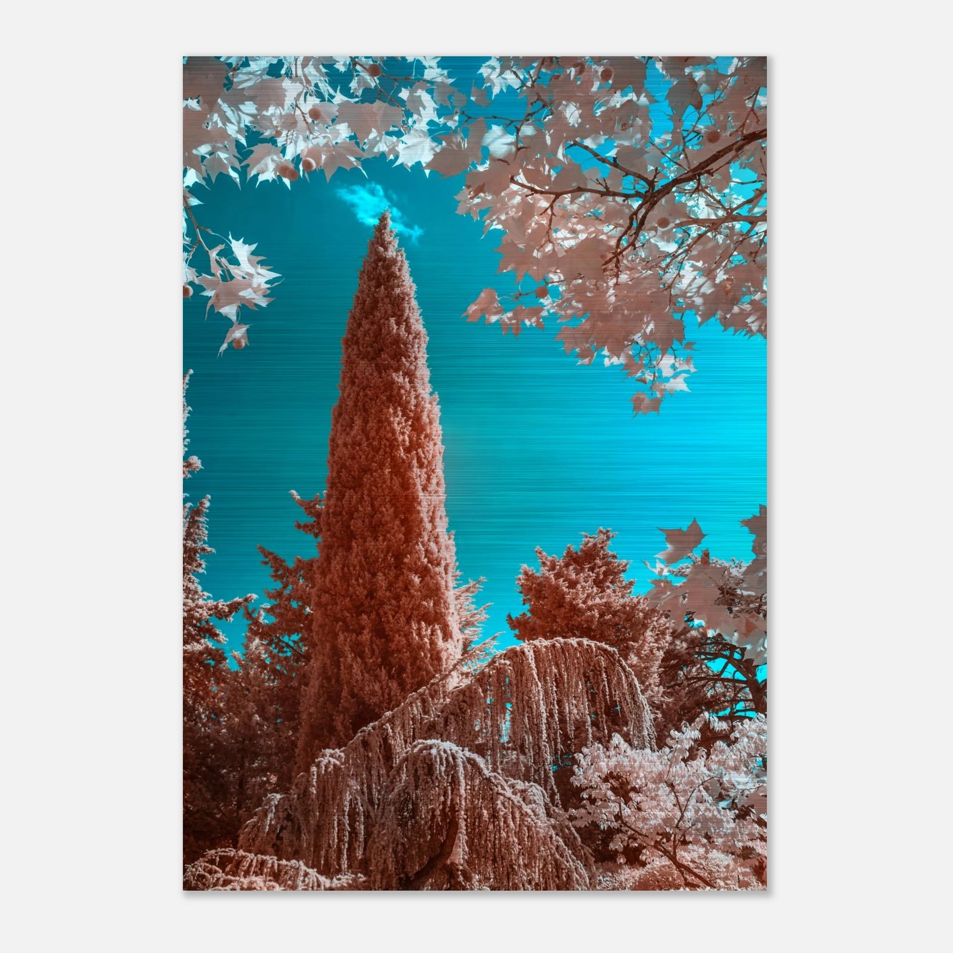 cb3c2068-8b0c-4191-80cb-d16275c79c04