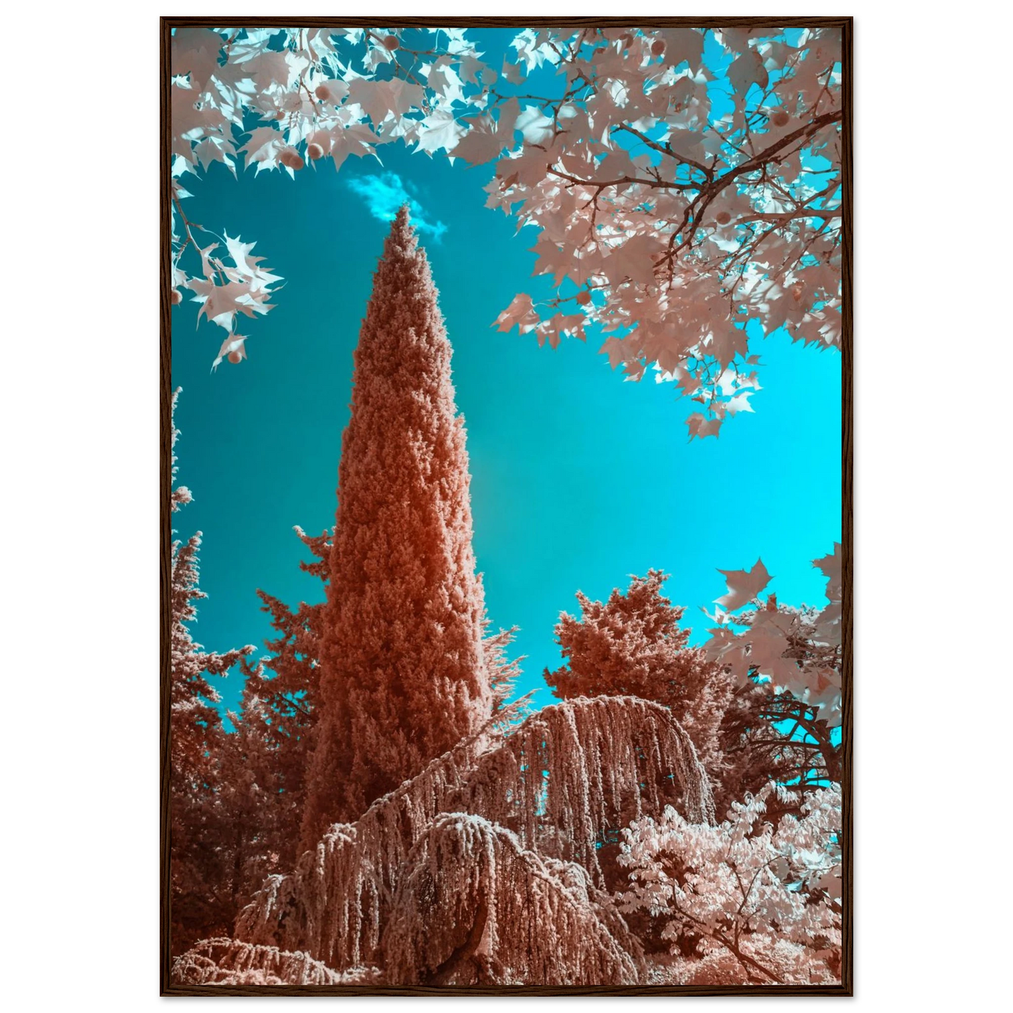 cb4e76ae-9548-4aed-a0f2-c246c8f0d177