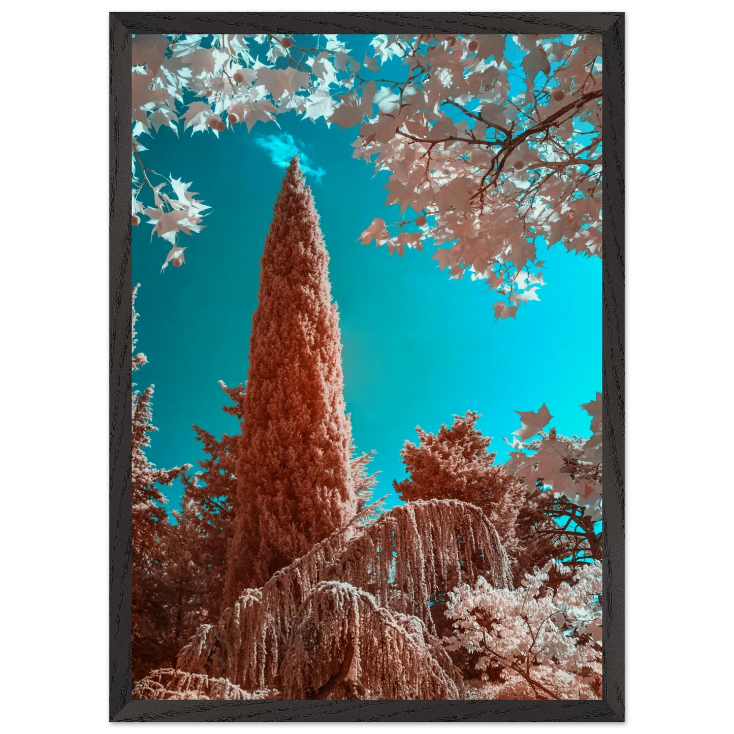 cb691762-961b-41d5-8848-755f3186c40c