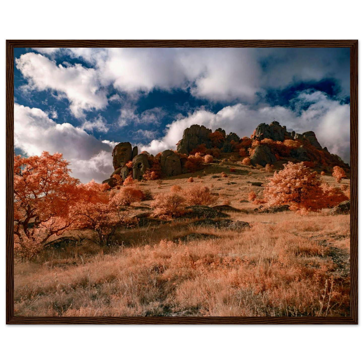 cb6ab87a-93d9-4dc5-a0eb-fef9340ad8d4