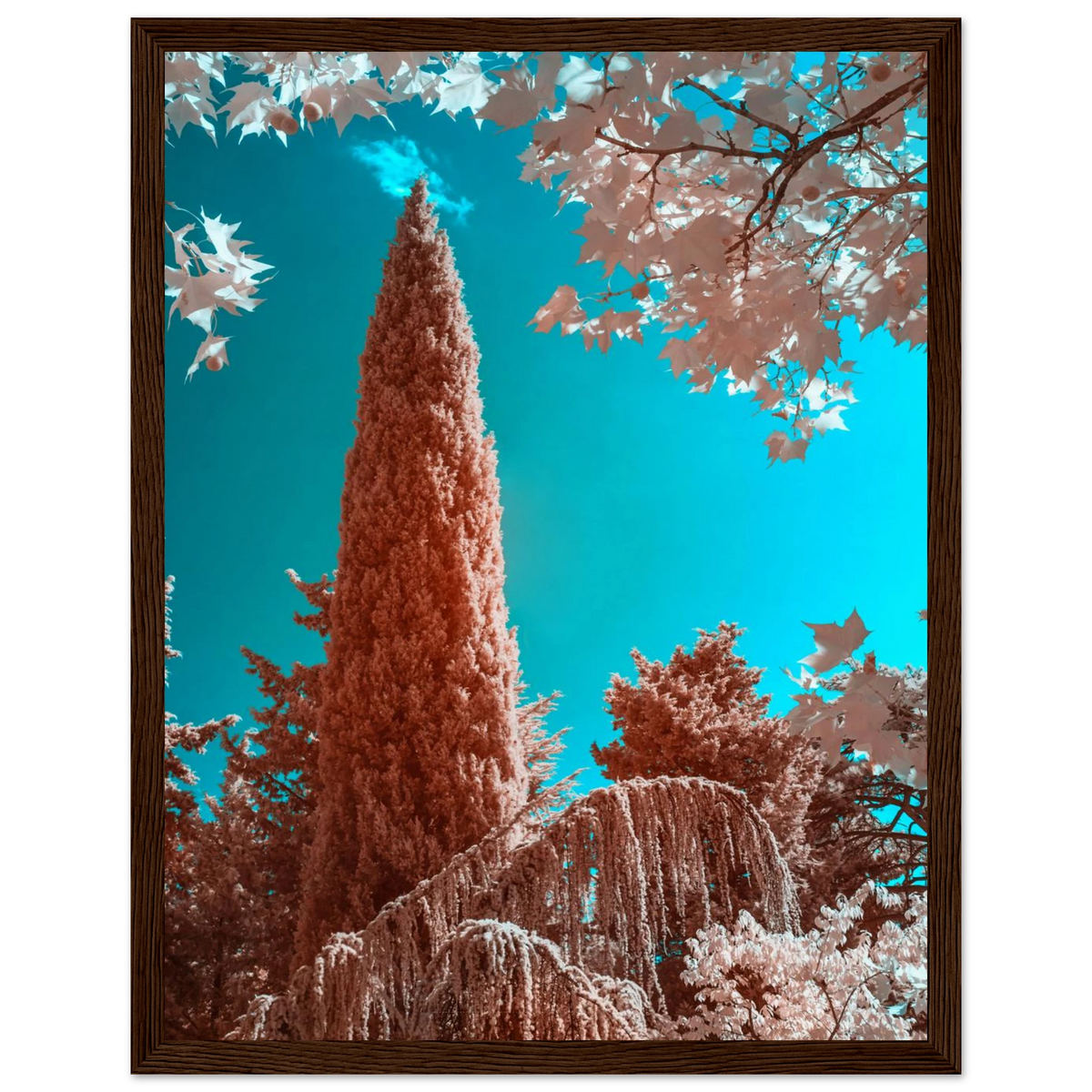 cbbb7dcf-b6c0-486a-9cd8-ed9d6de87a0d