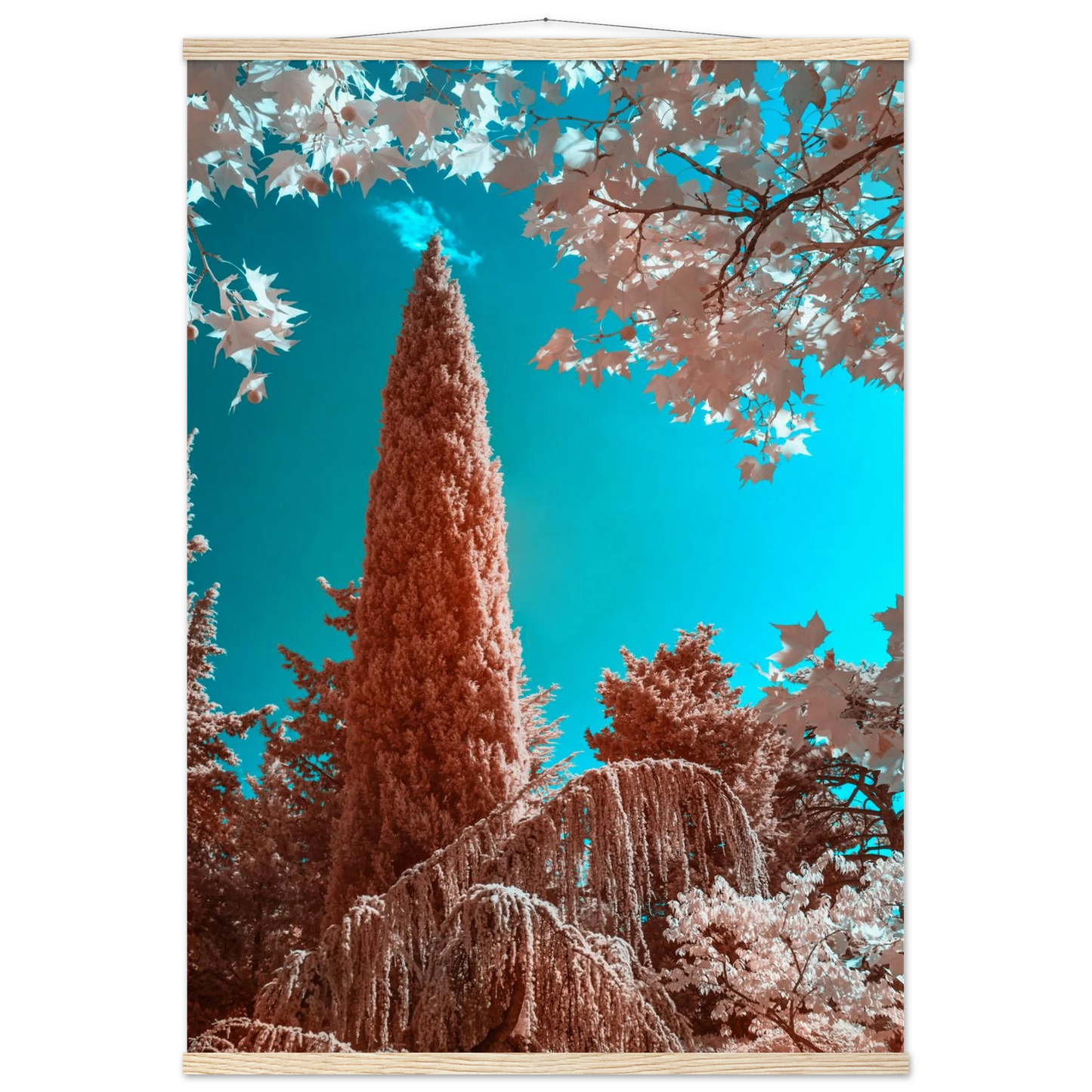 cc34525b-4ba9-4a6c-b5ac-1d8f62b1ce17