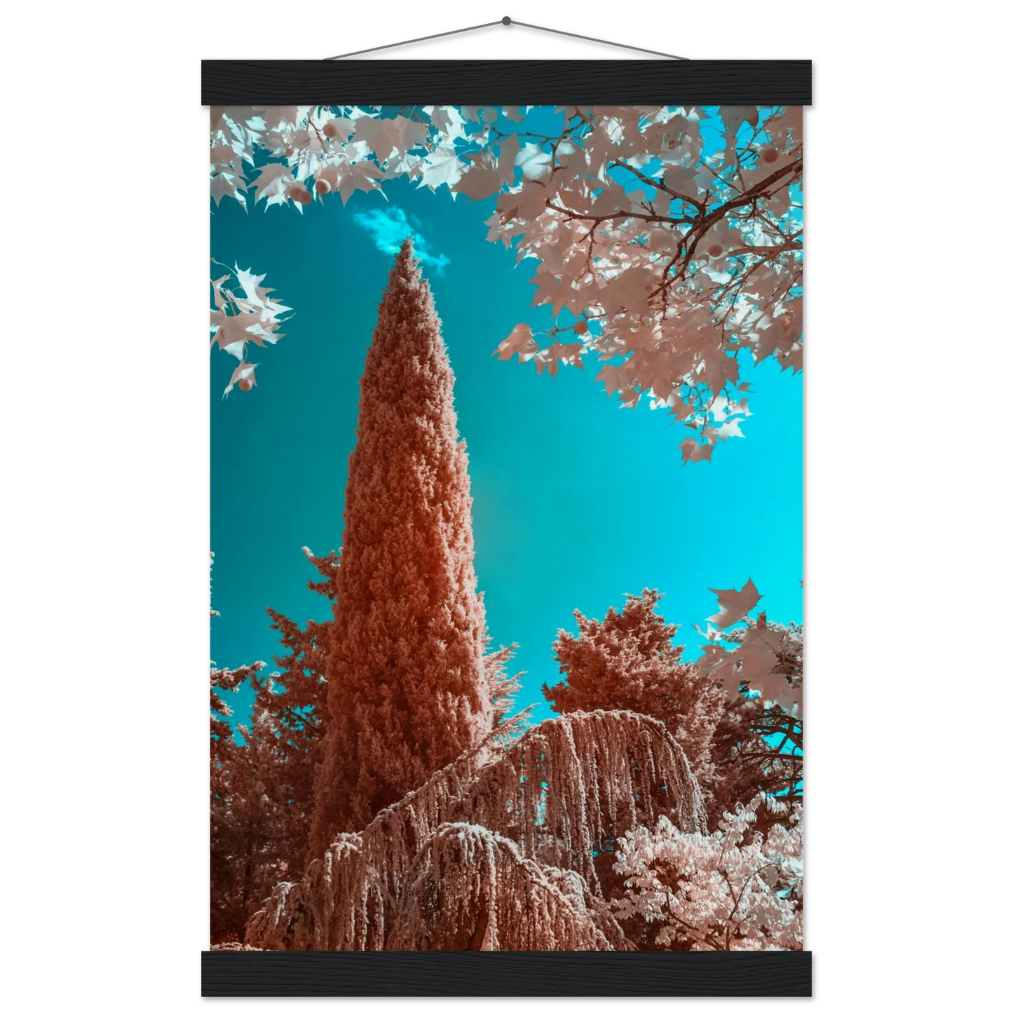 cc6760d9-a0d7-400e-a4d9-6d7d92148495