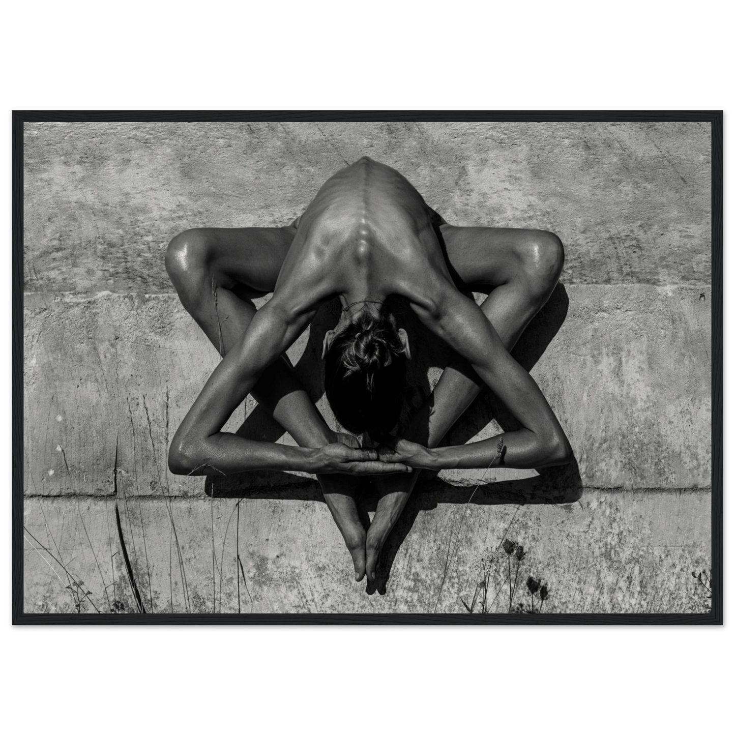 ccc5a9c4-c31c-40d5-b6ab-90f816618d5d