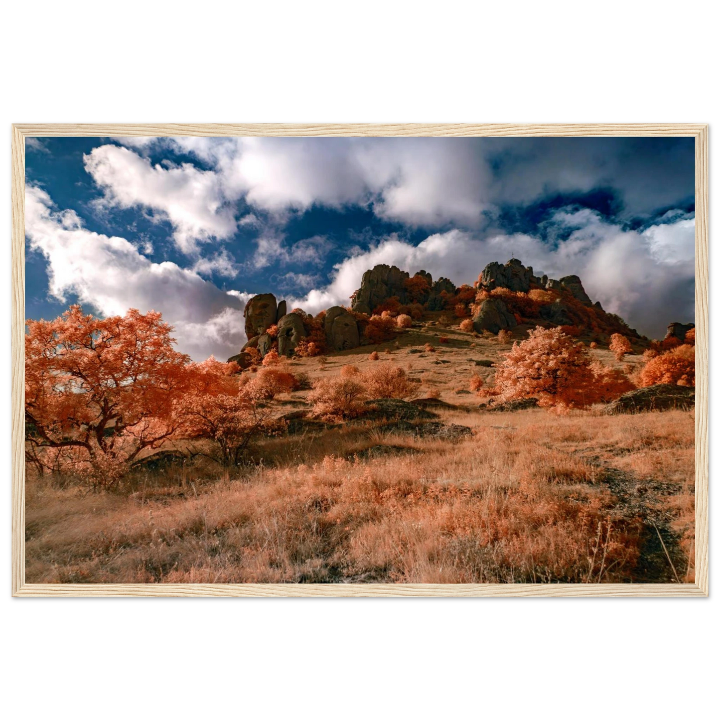 ce07f62c-7b87-473e-b0fa-c05d603eead1