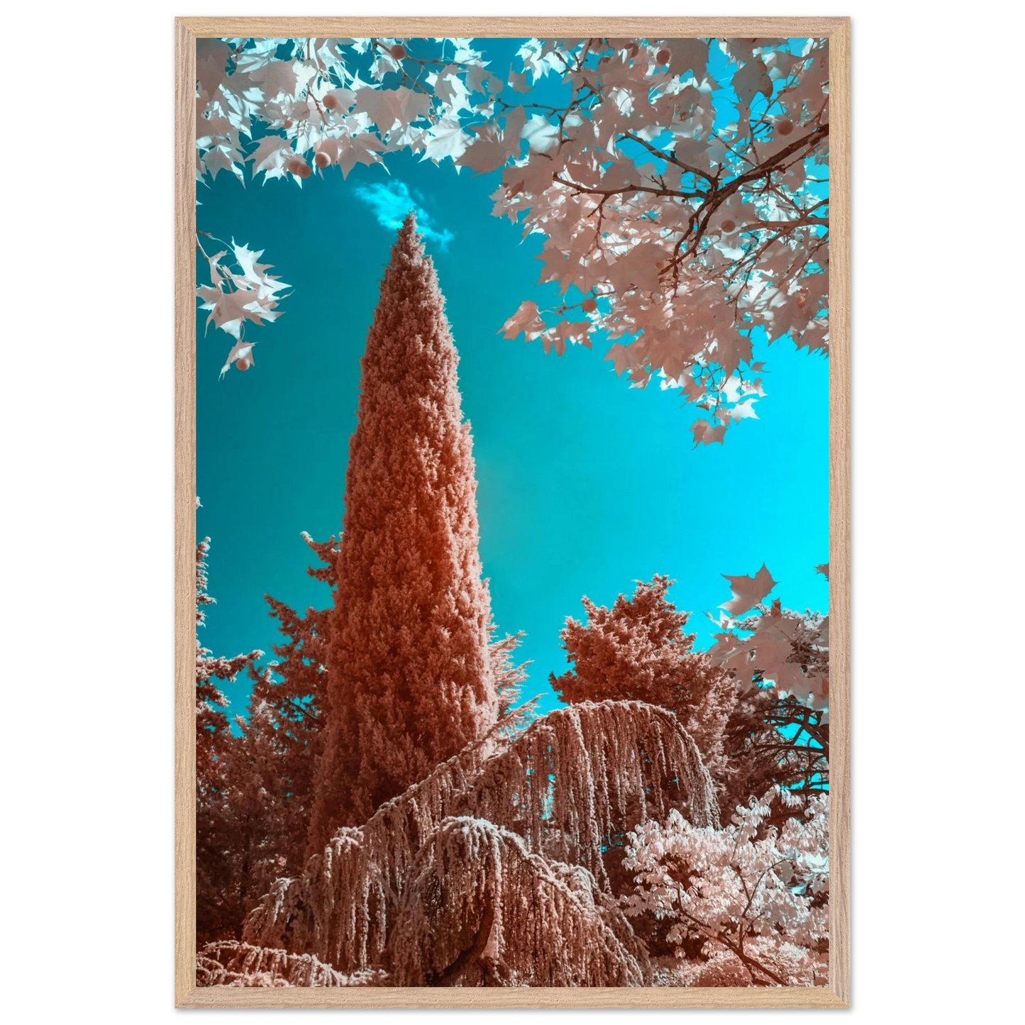 ce0882ce-727b-44a2-a52d-f5f3590bc40d