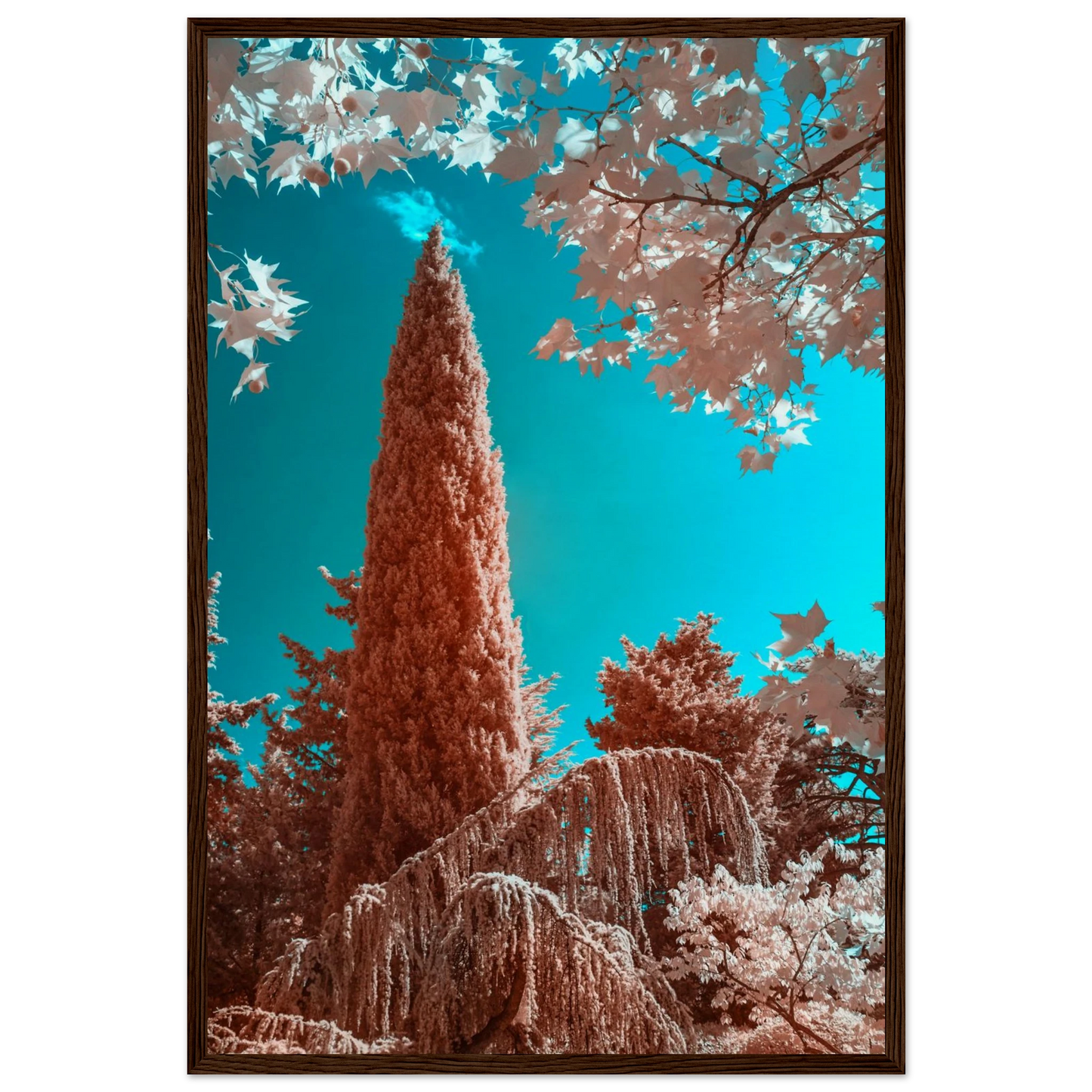 ceaca354-05c9-47fc-8d03-4858ce069e42