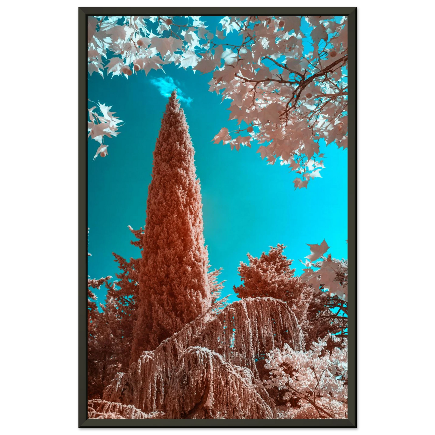 cf716e37-f935-4dce-a738-f251aa805049
