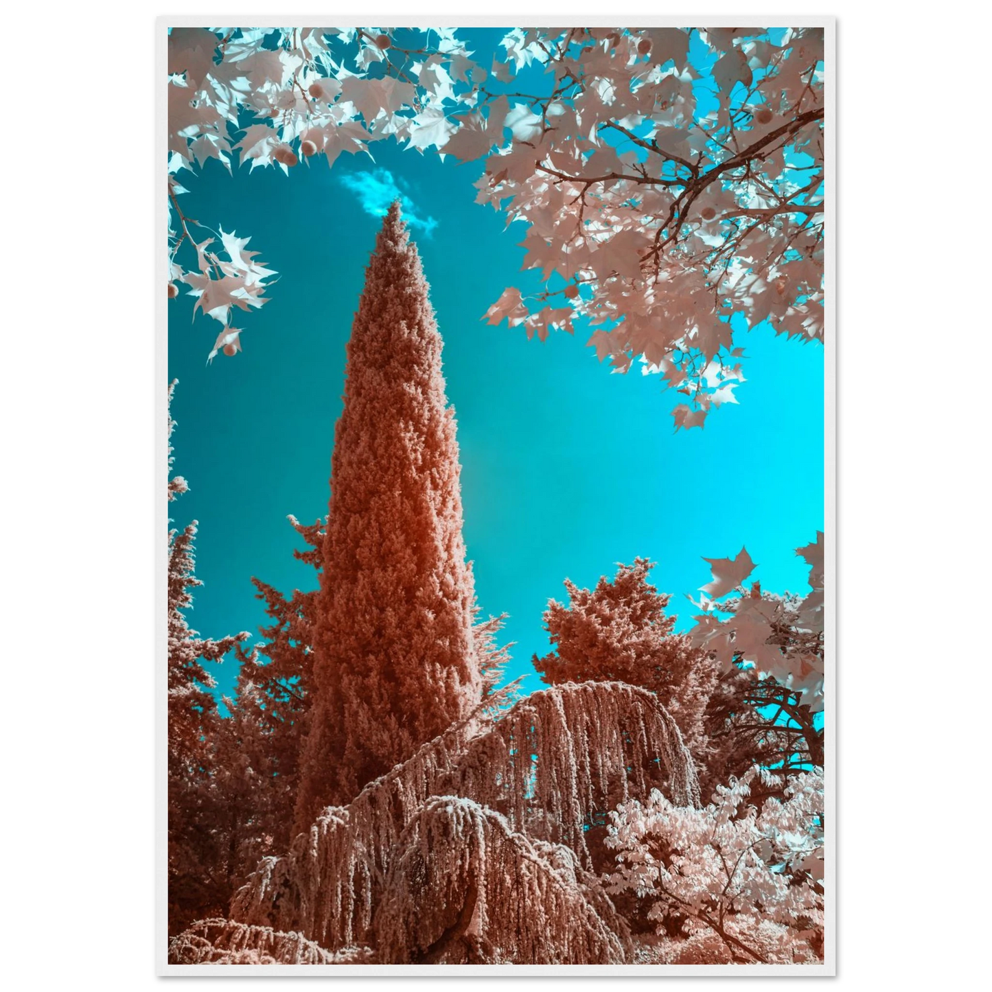 d0138d1a-c8cc-4b16-a0ec-c4bb4990cc41