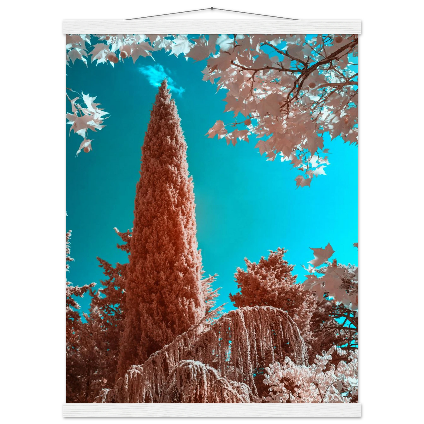 d013e8a8-ac10-4163-9f81-7df5d4b7fbd5