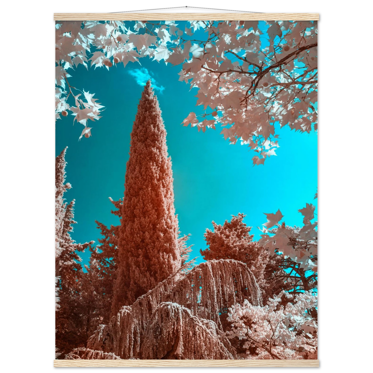 d0543372-447c-4b88-931c-670ab09d6e6d