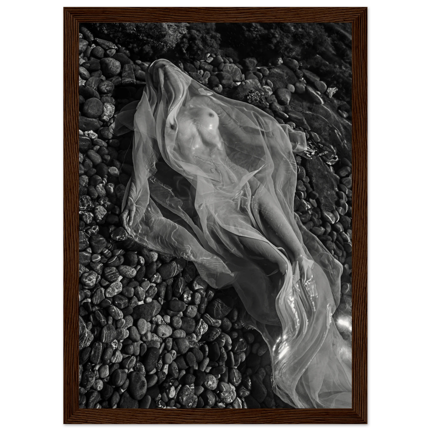 d095126f-885c-43db-8686-9214807fe634