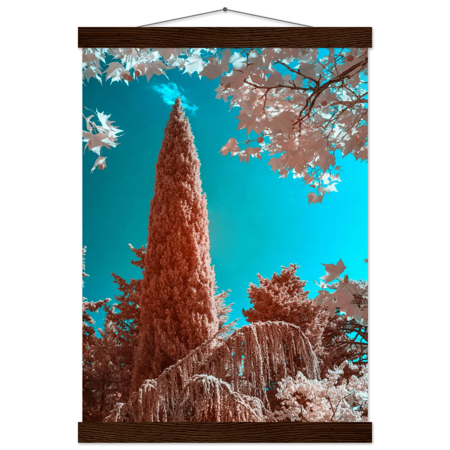 d0ce35e4-eace-4a4a-bfcb-0e34a0b67187