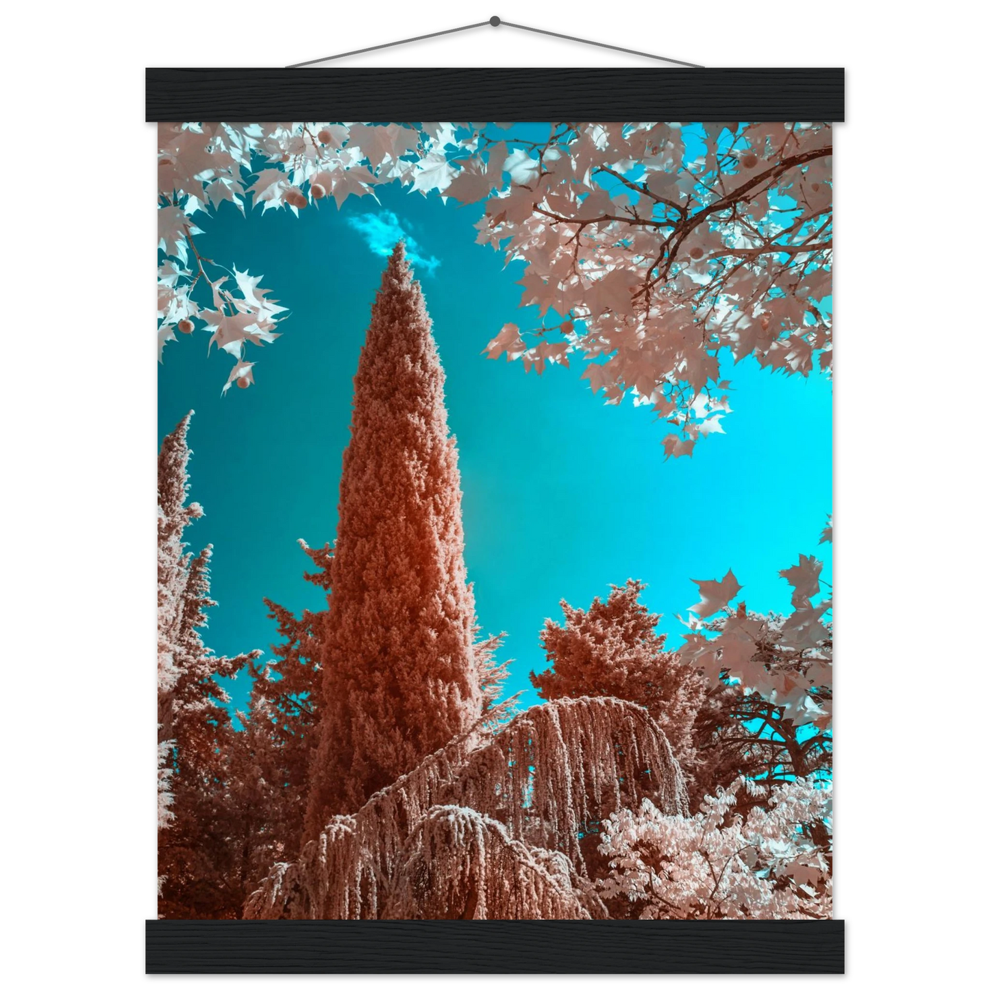 d0e4d365-225e-44f2-bd42-8b8edba21d16