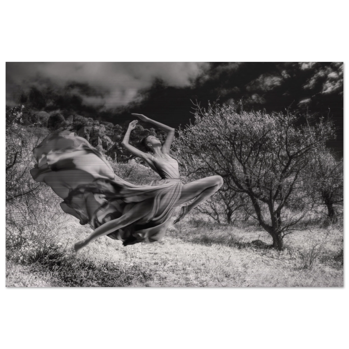 d1eebe29-b2f8-4071-89e1-68135b2d3de3