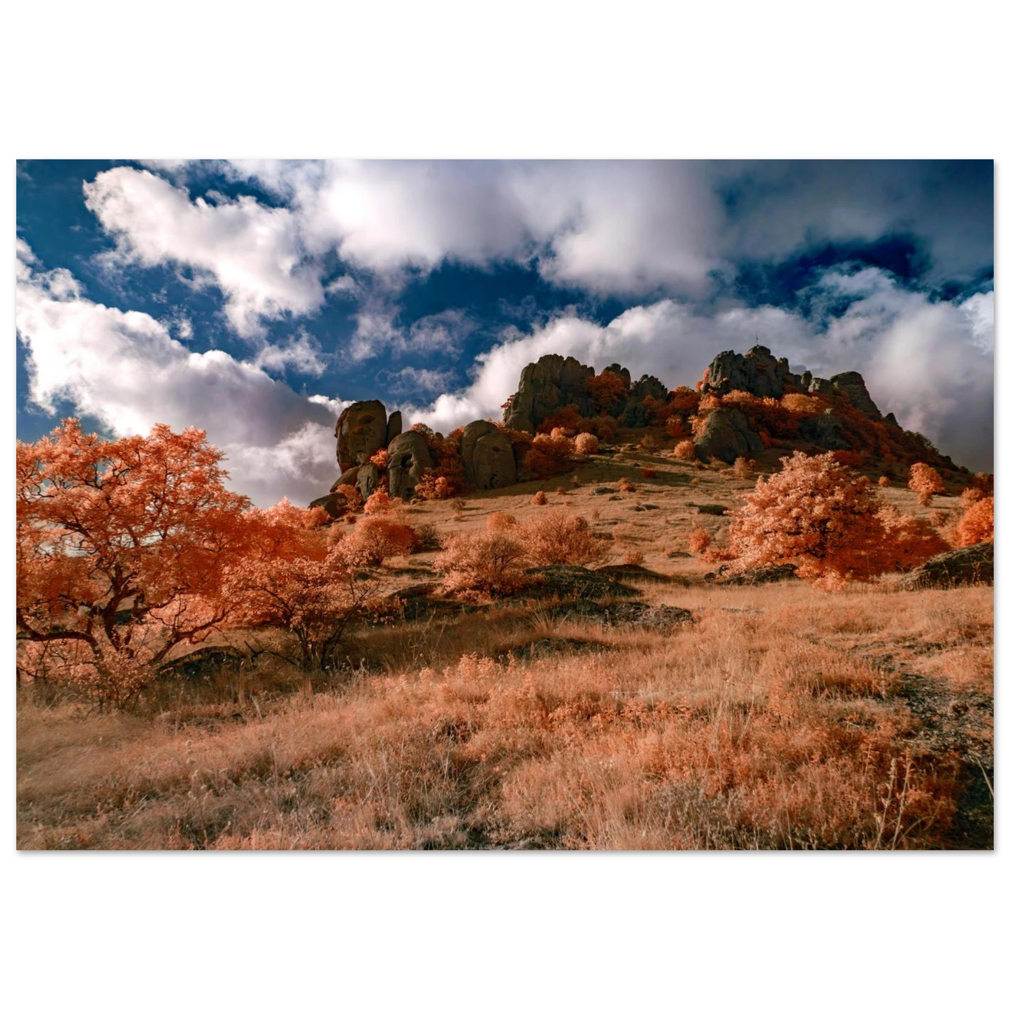 d26955f6-e1c9-4bf0-93f0-91290a0ea8e0