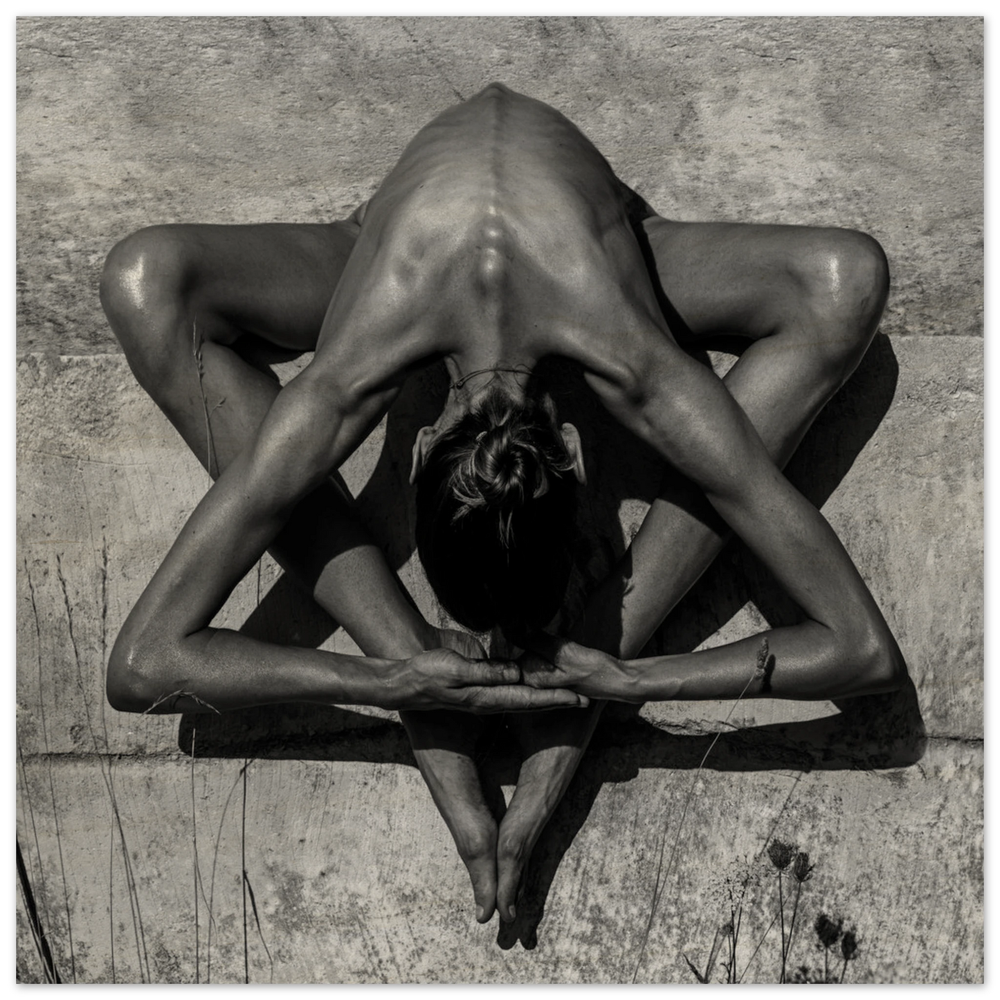 d2d1e6a3-d6a9-4bb7-ad1c-a82d46127093