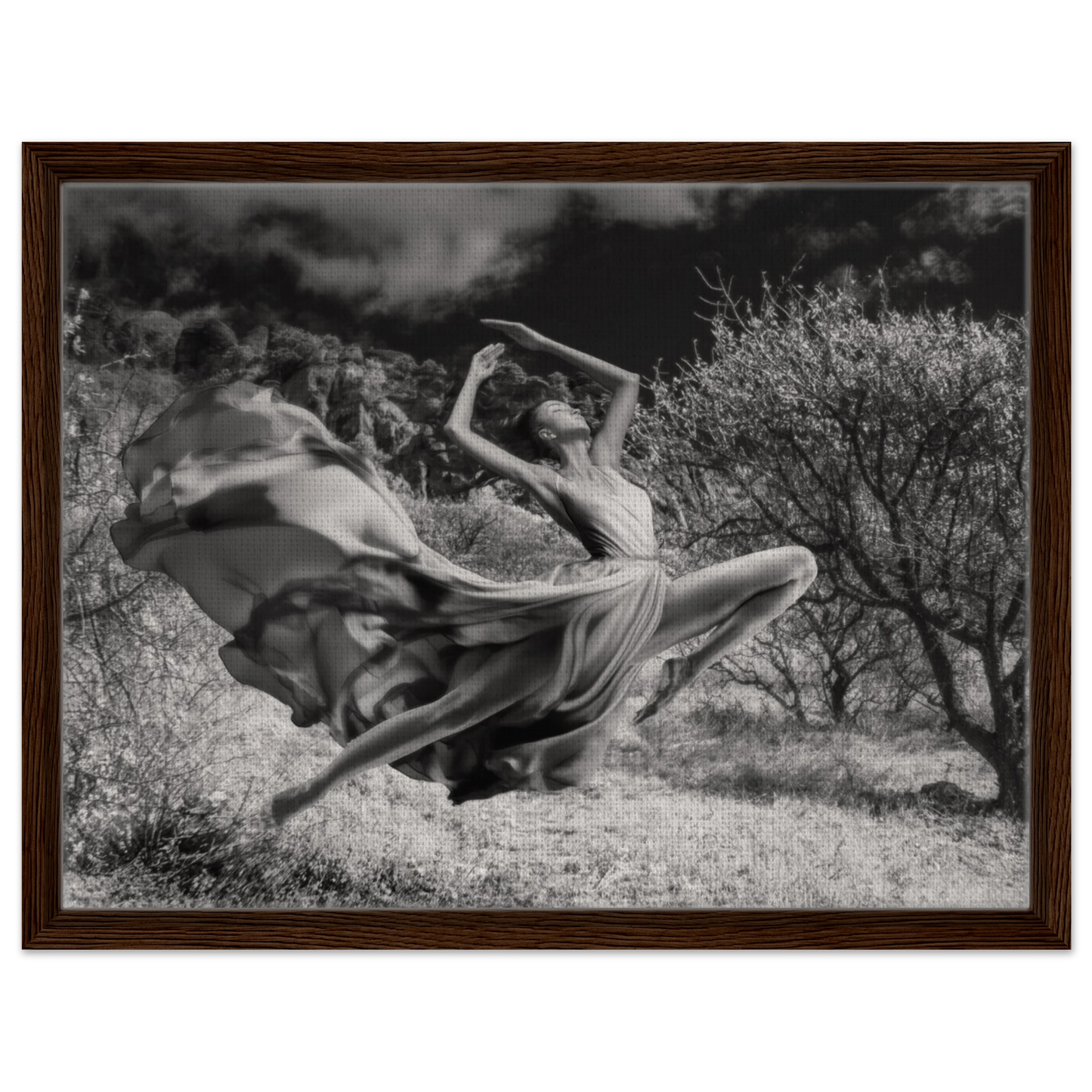 d2fa7049-ebb0-4307-a337-33b3504c153f