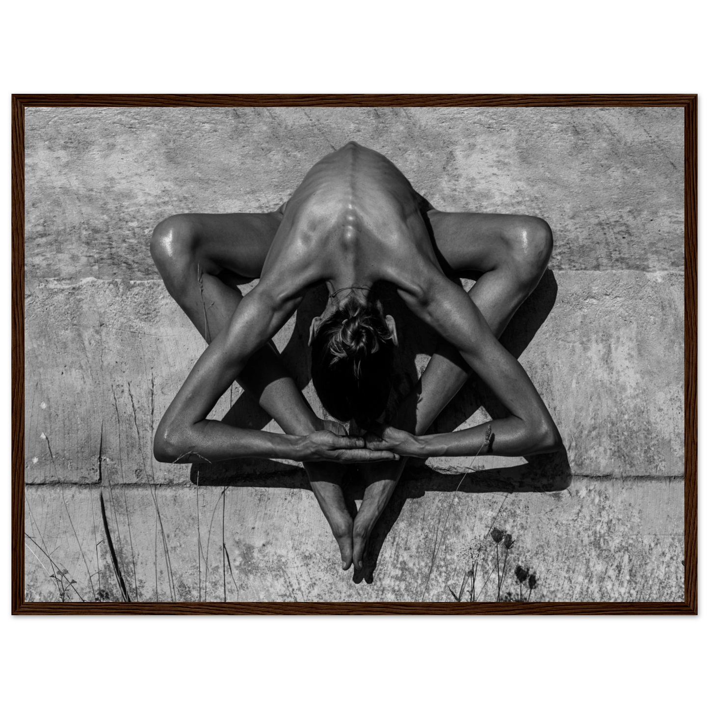 d43d0dc3-9496-4e43-b429-bc771c88b851