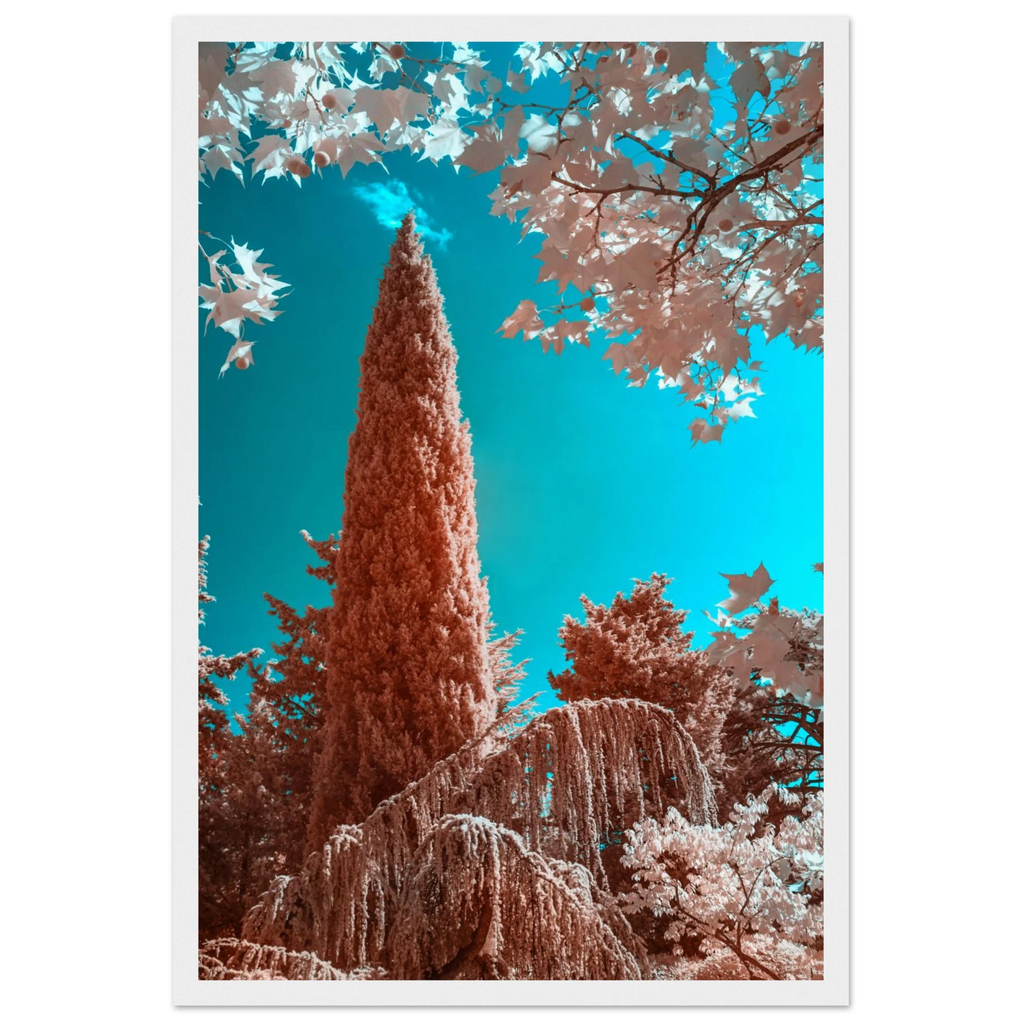 d574c1ad-2302-443e-a142-a9034ce86b1c