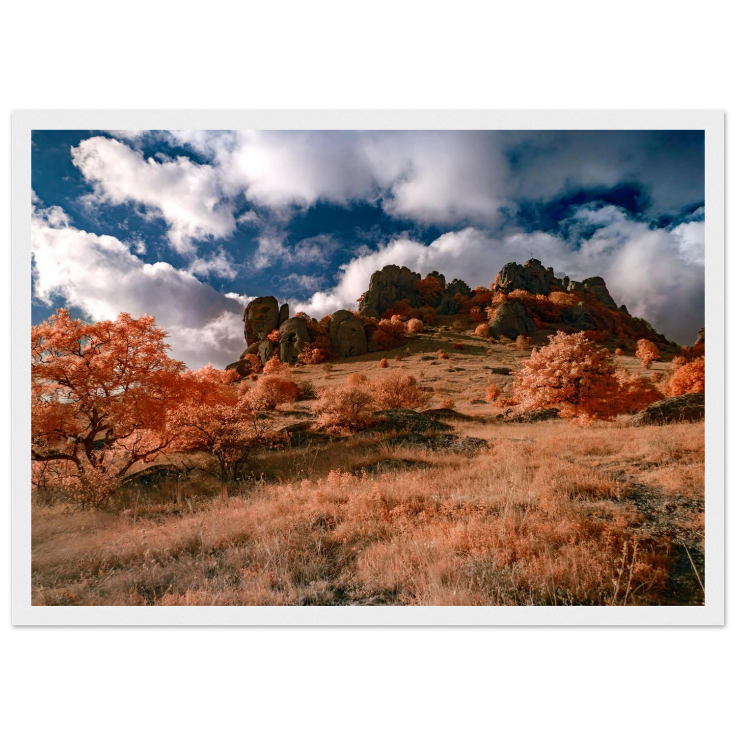 d580b1c2-216d-479c-8f0b-6c1598e9c70c