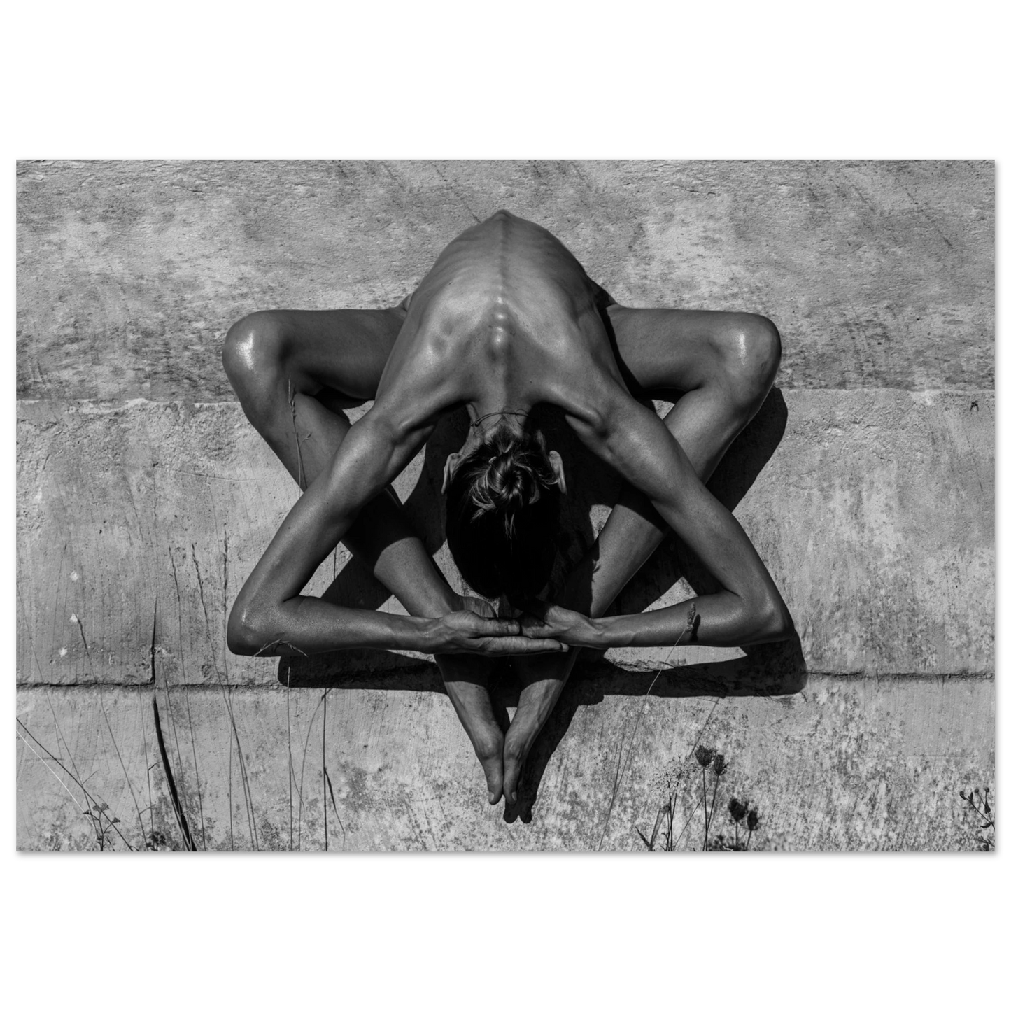 d63217d4-093e-4c49-92b2-f54ca5915d6e