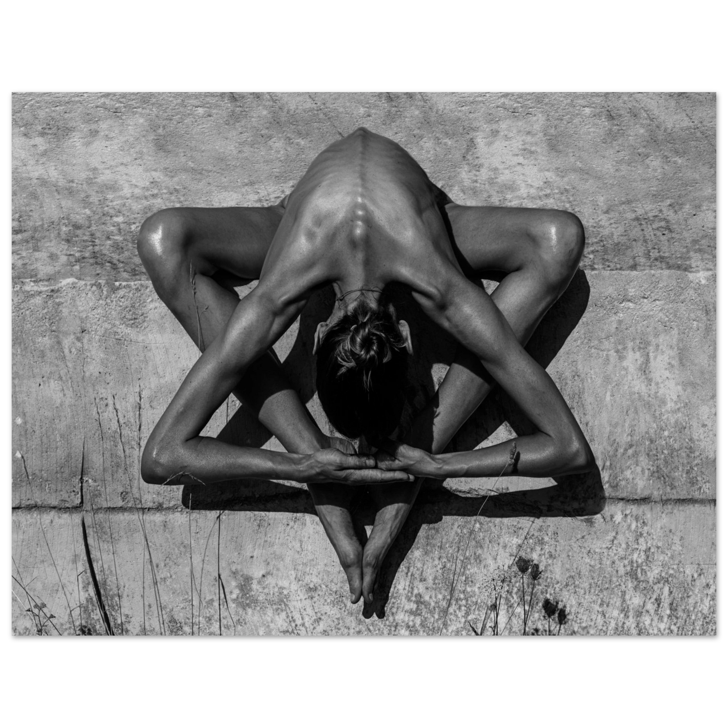 d66e3c93-43dd-4bec-9e77-a9bbab85f29d