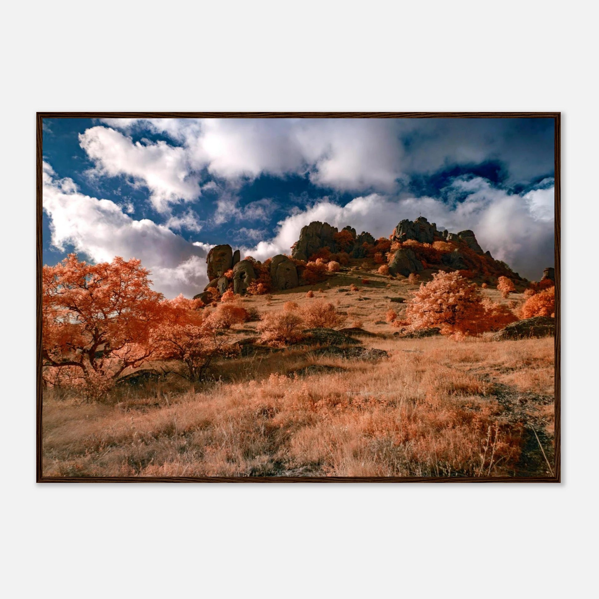 d7cb0be5-a402-4060-a0f6-467d55fa7bcc