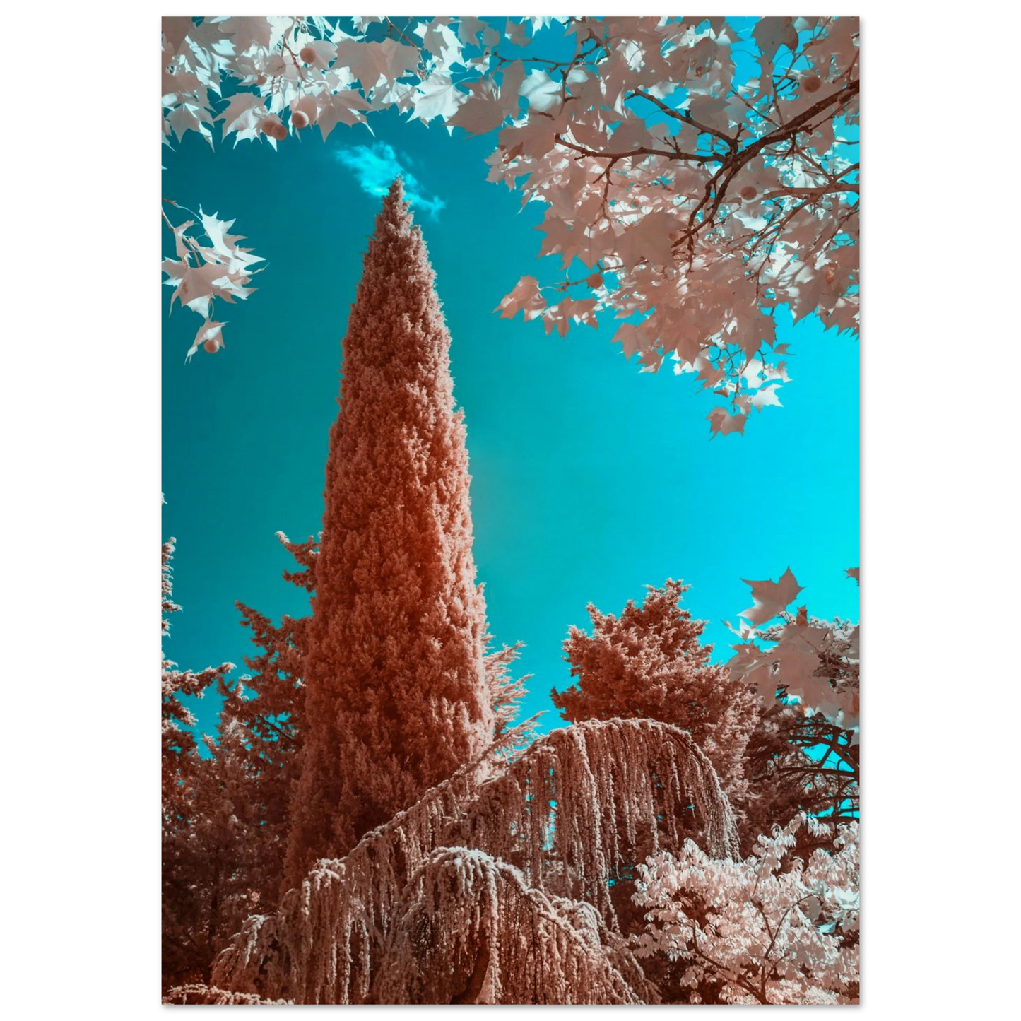 d7d40622-fbc0-4e96-8575-fcbd8fb64be1