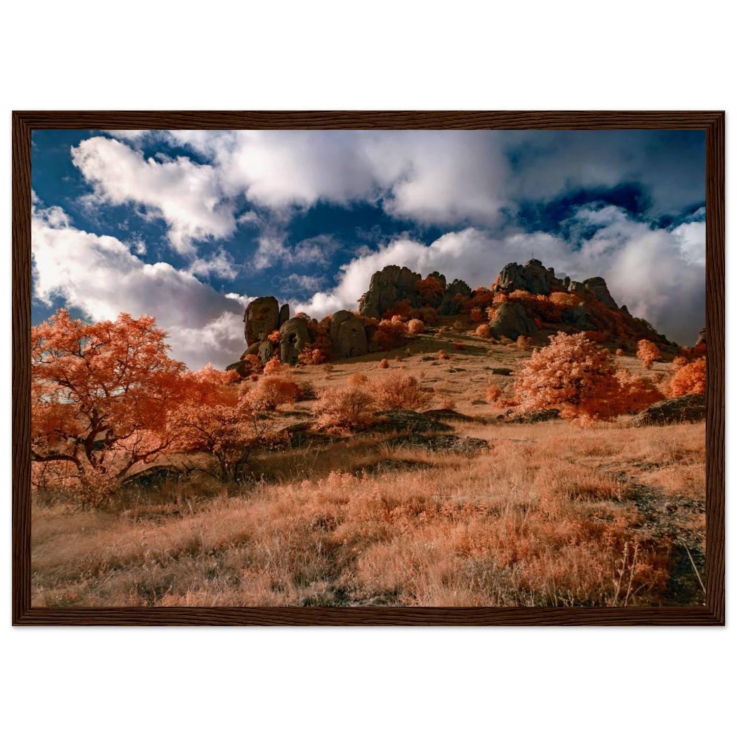 d844342f-e0d5-482a-8bb4-16c50d6ae986