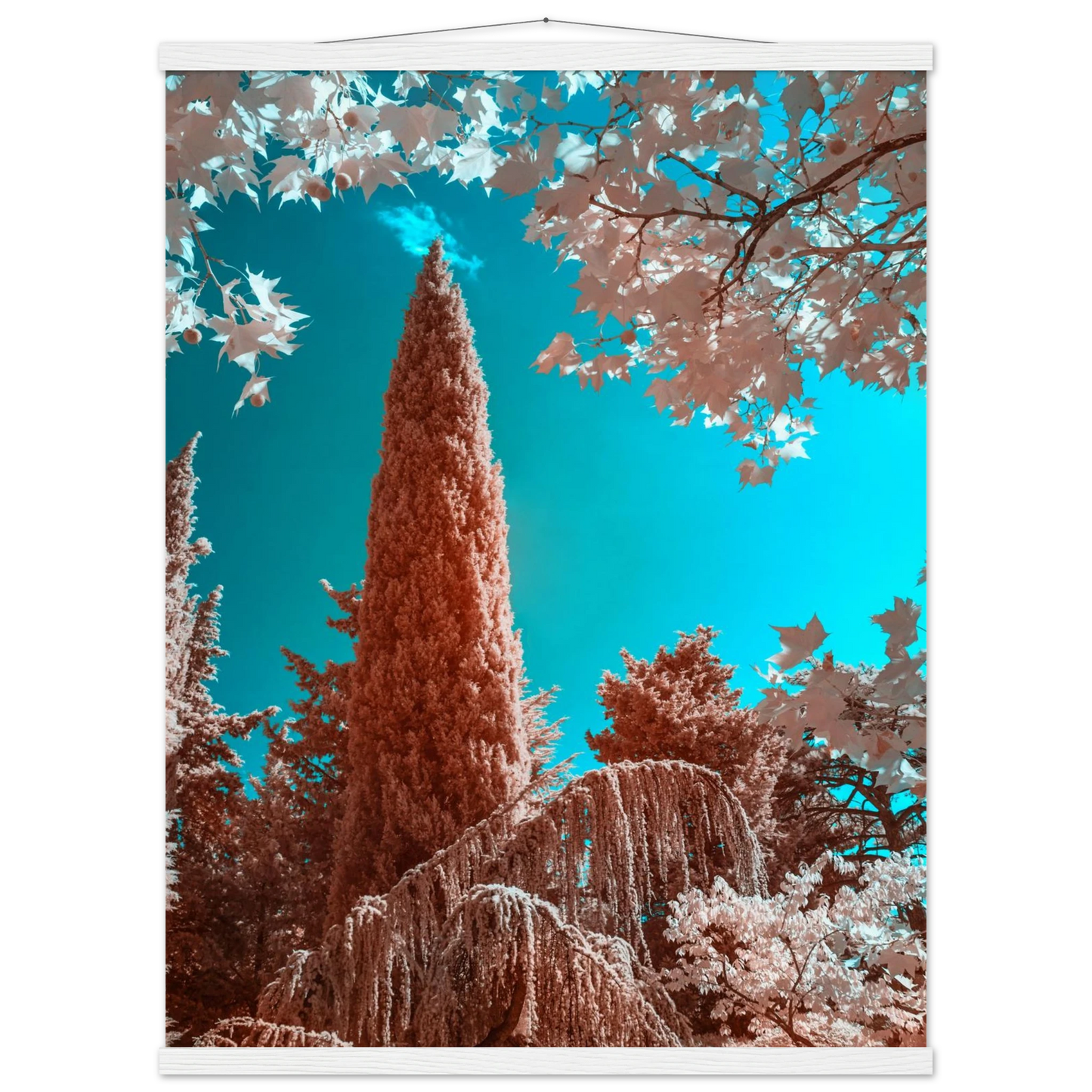 d8e6ef25-01c3-48db-9ca8-5d0703393fbb