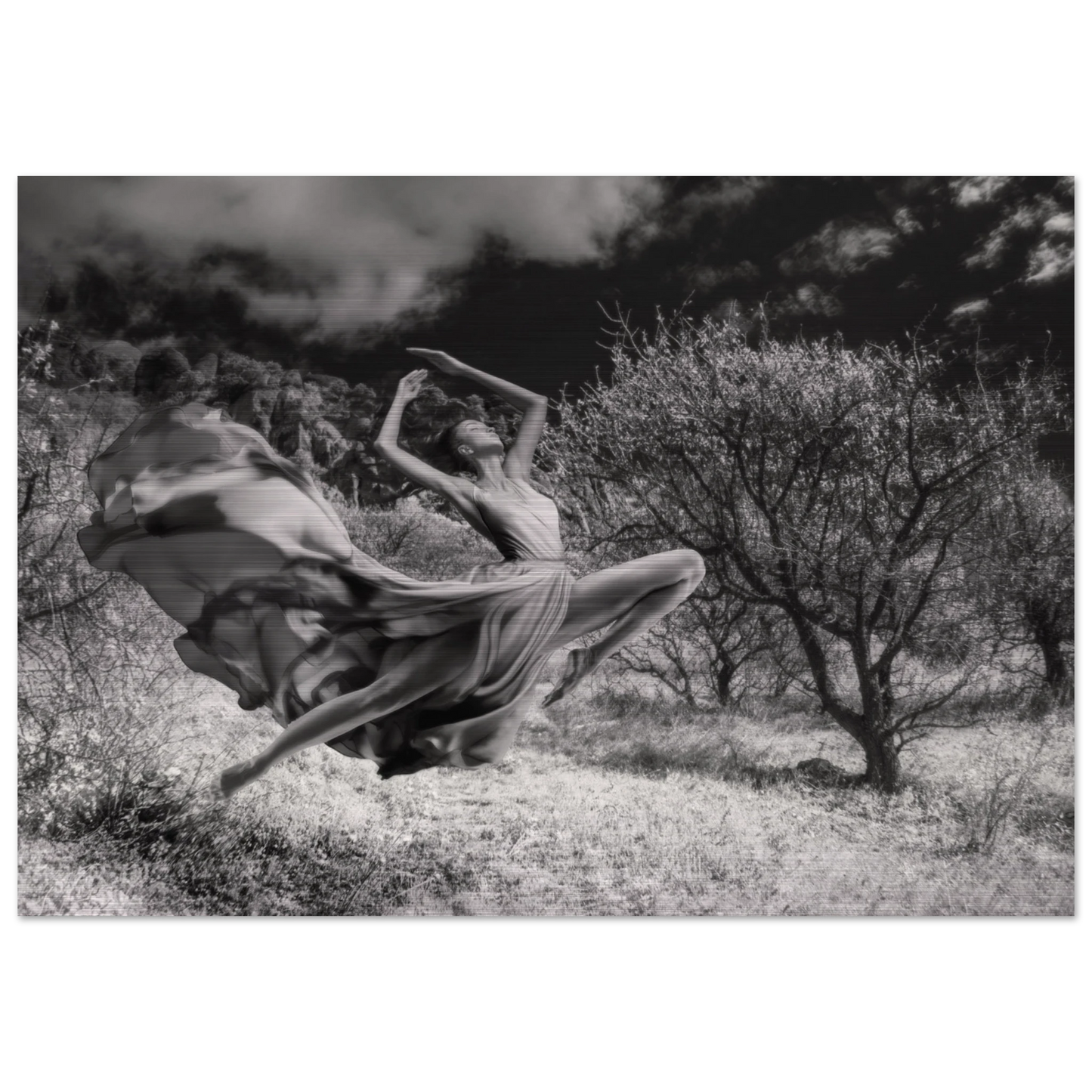 db758426-855f-40dc-859c-f9d84a2cf304