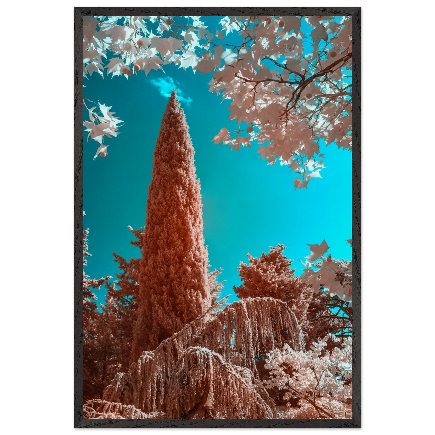 dc0e2c92-2716-4eaf-89cf-bc34491f3c7b