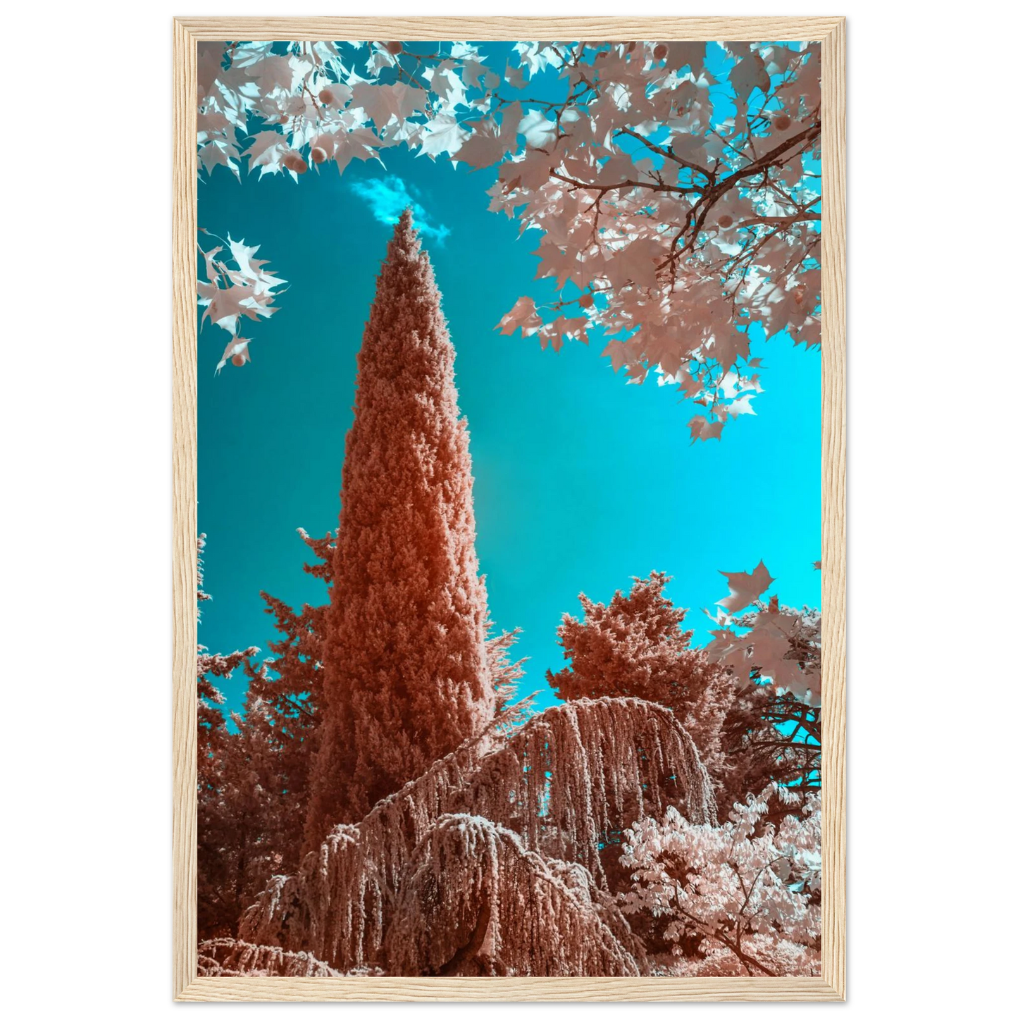 dc273441-8977-476d-bc05-0948a062c09e