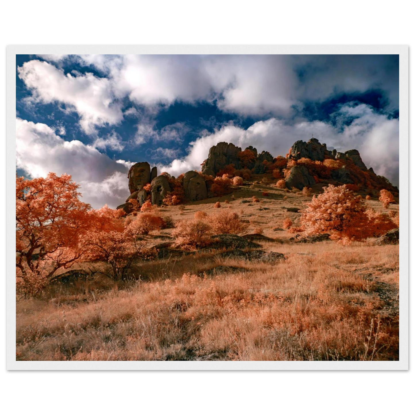 dc79fb7b-0c1f-4a5e-a4ab-6b1b82dd9ba0