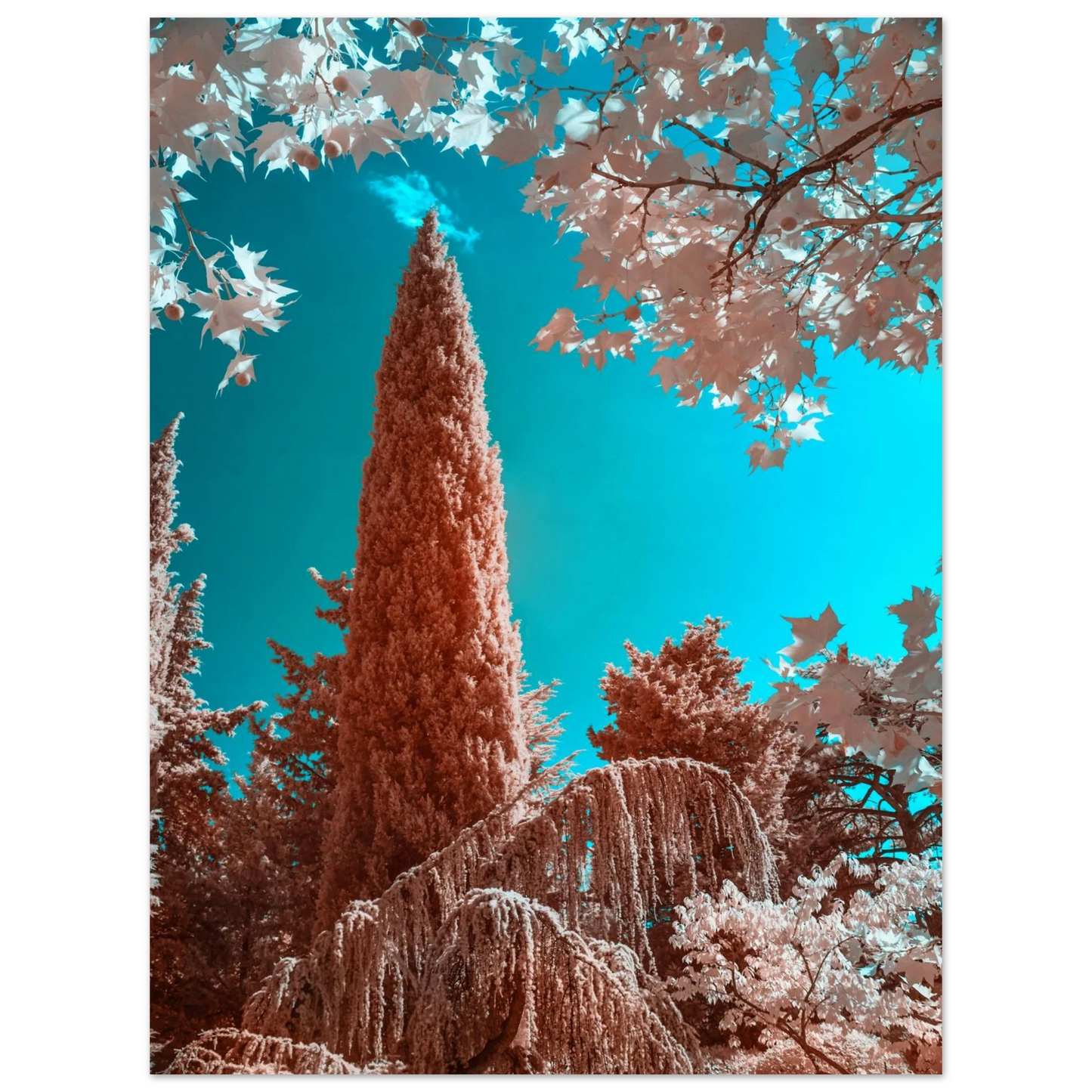 dd5f55b7-77d5-4ee0-9d6f-e45f99a5b9aa