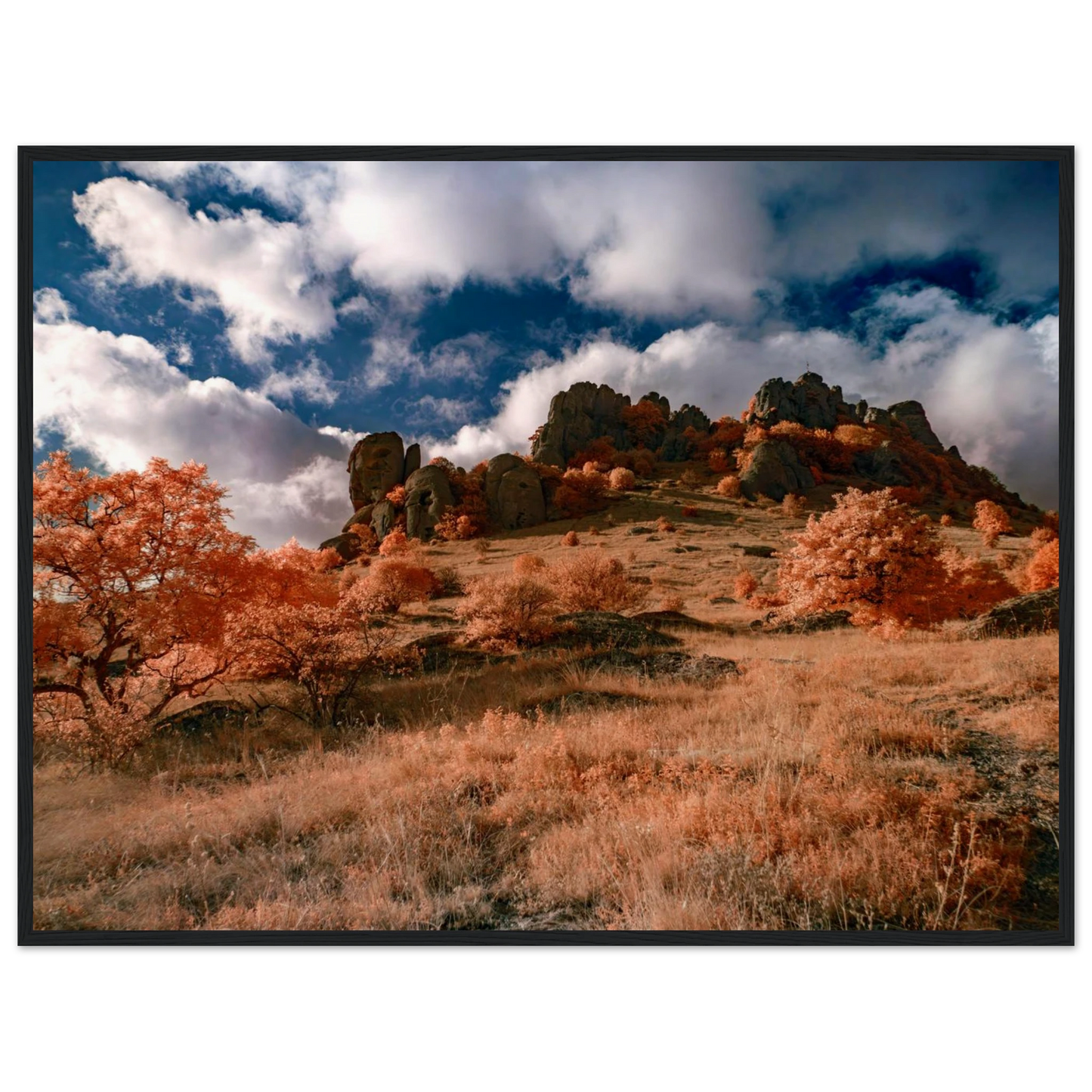 de62a368-0804-4bd8-aaf4-e13514907a3b