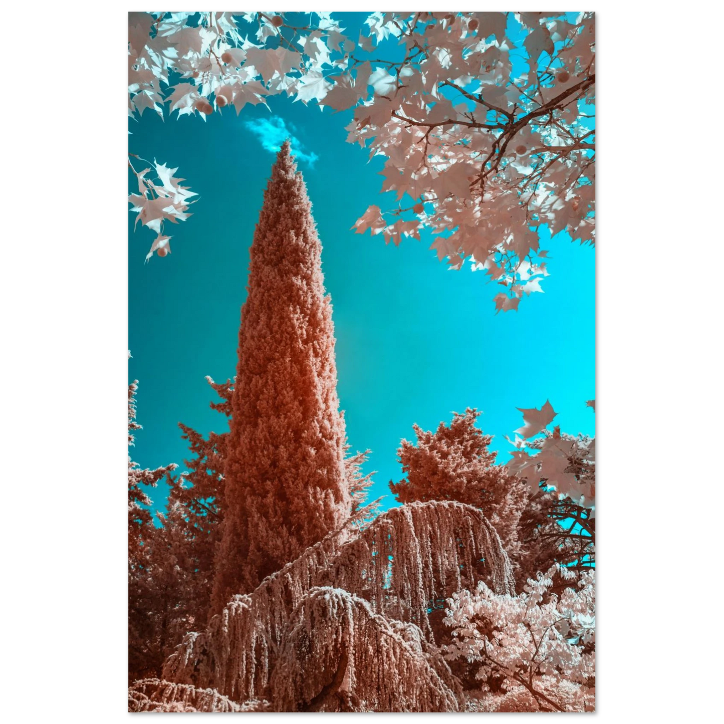 df4c99ae-4b4c-440c-b8d7-68e7245763cc