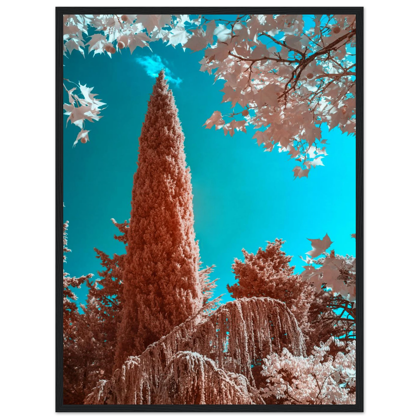 df540579-315e-4ea3-89df-2b06367a5512