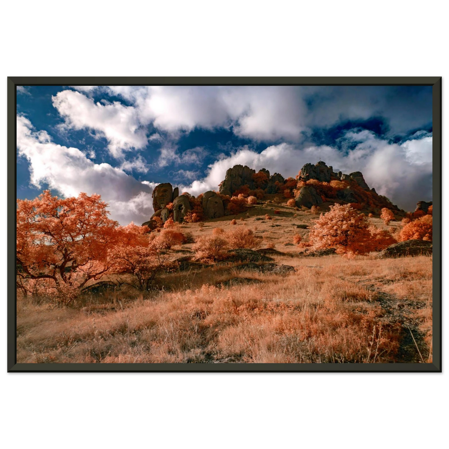 e0f51935-8799-4938-b2e7-e467c2f0428d