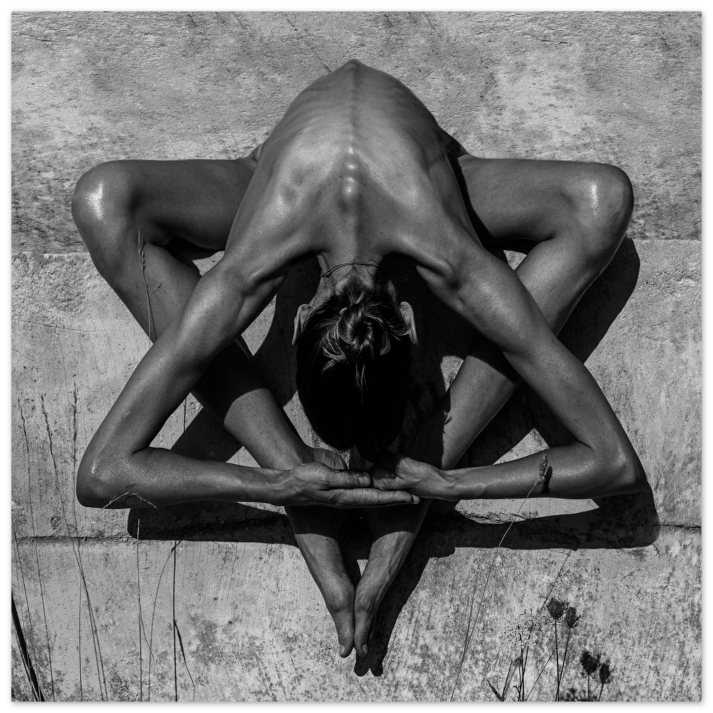 e16a258c-fa13-4535-b90b-2750701d746c