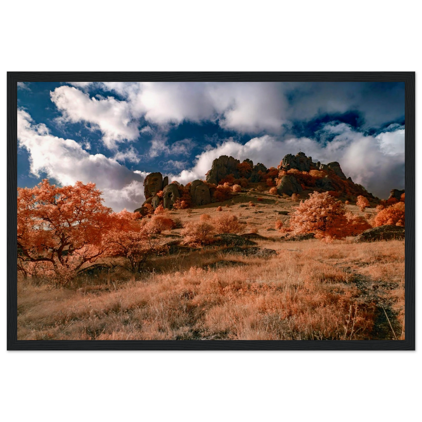 e1ae966e-964f-439b-974f-d49c2ad5b809